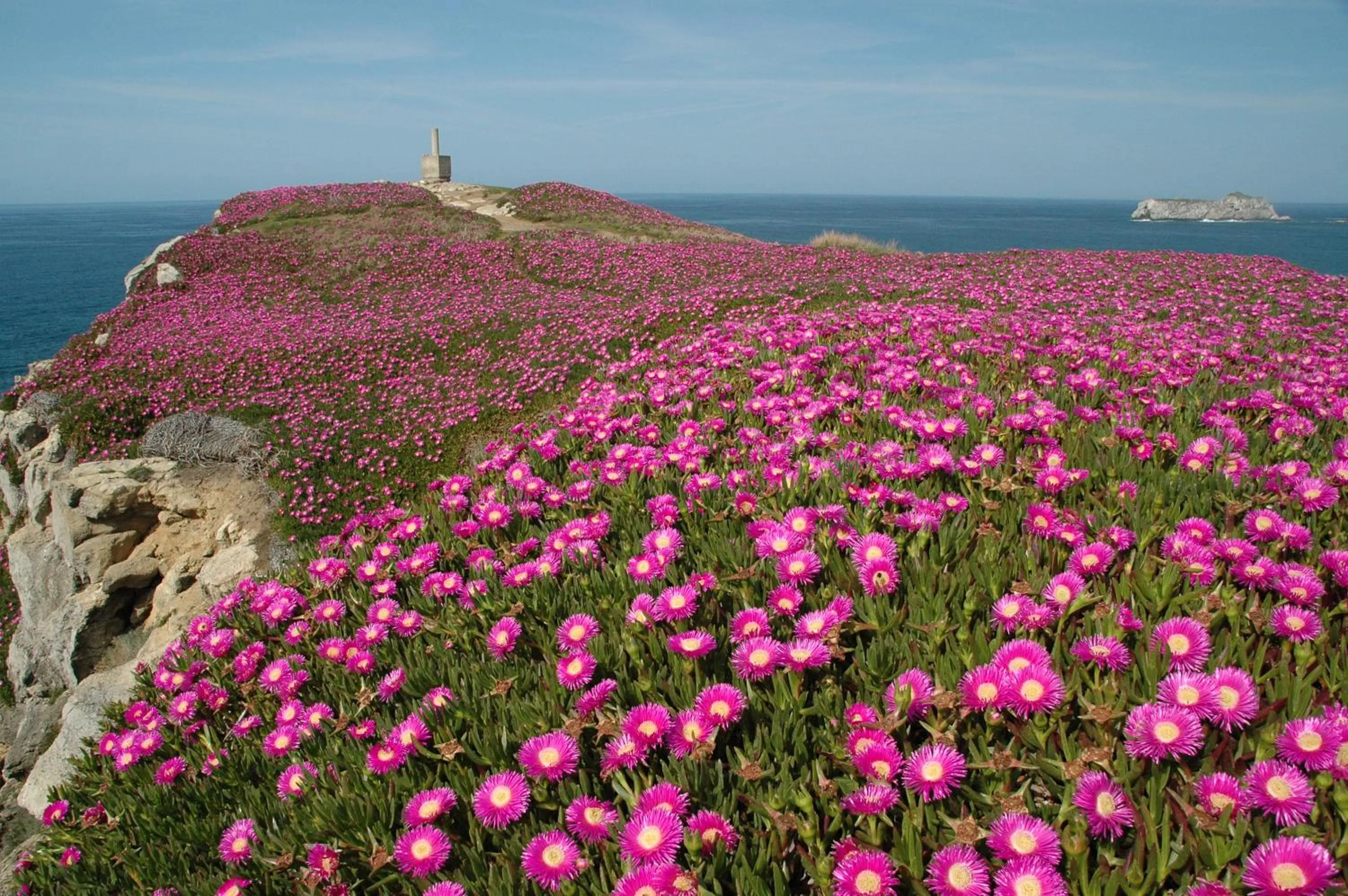 Property building in Hotel El Castillo de Los Locos