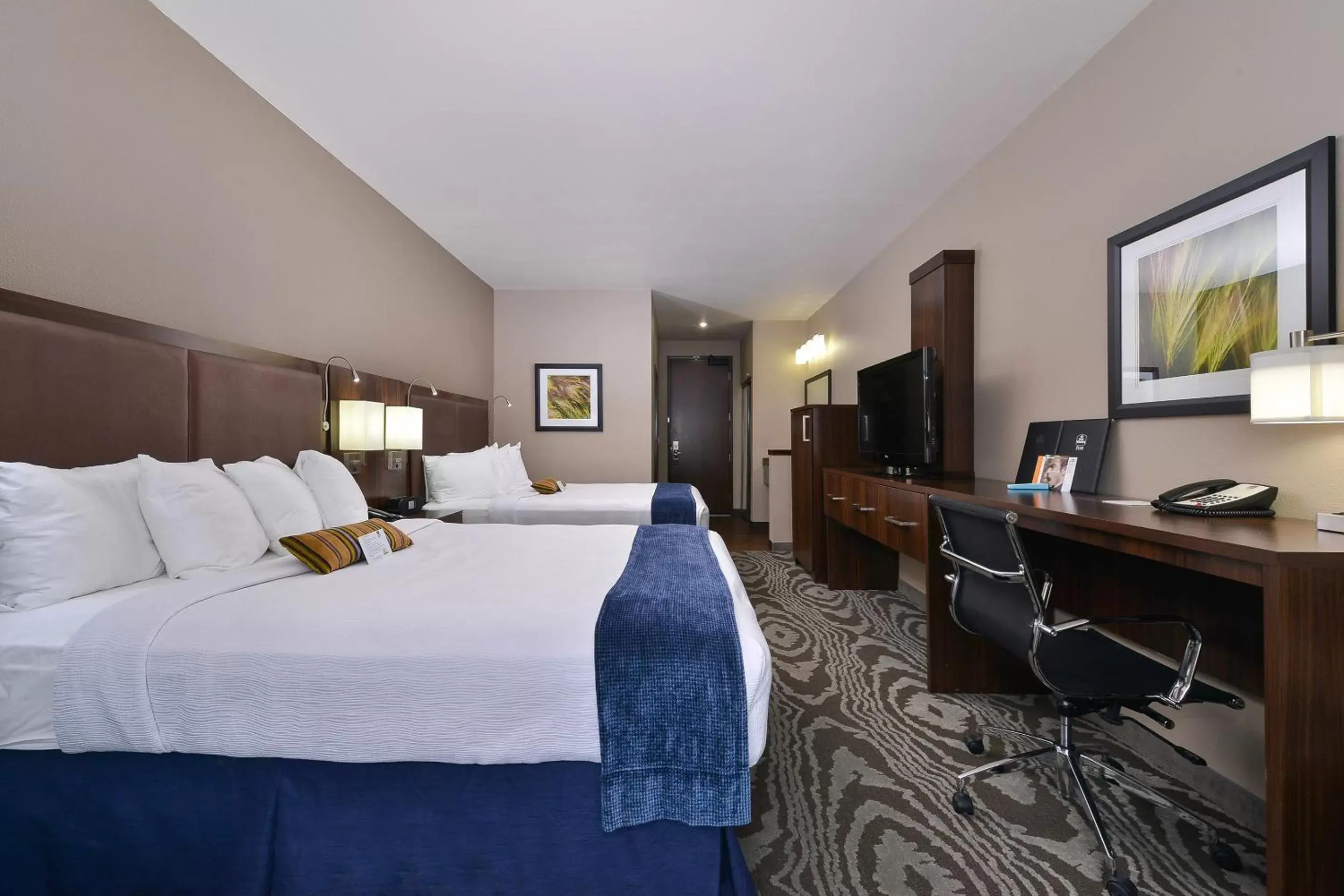 Photo of the whole room in Best Western Plus Williston Hotel & Suites