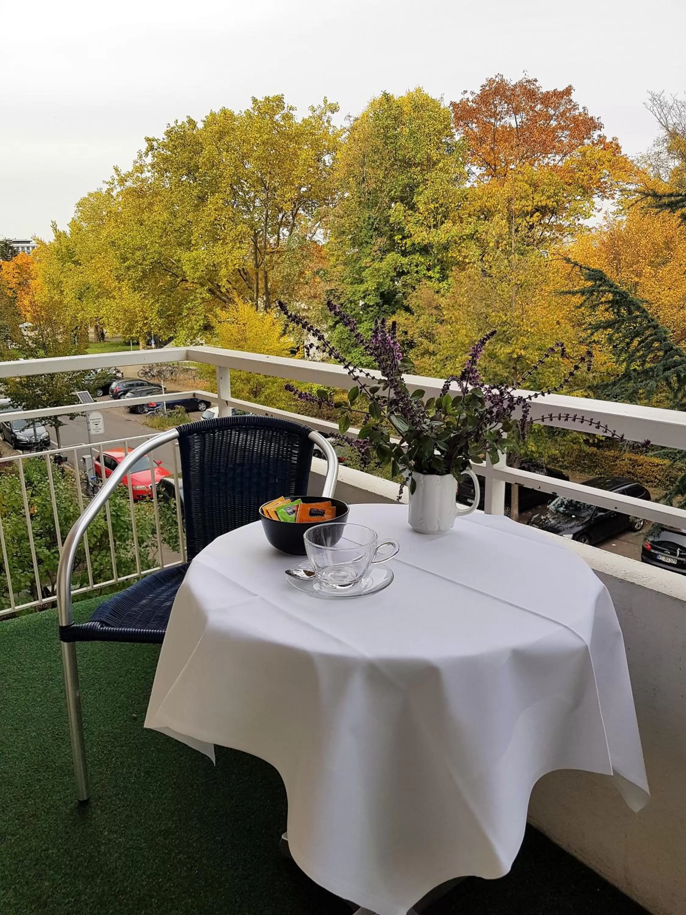 Balcony/Terrace in Apart Hotel Freiburg