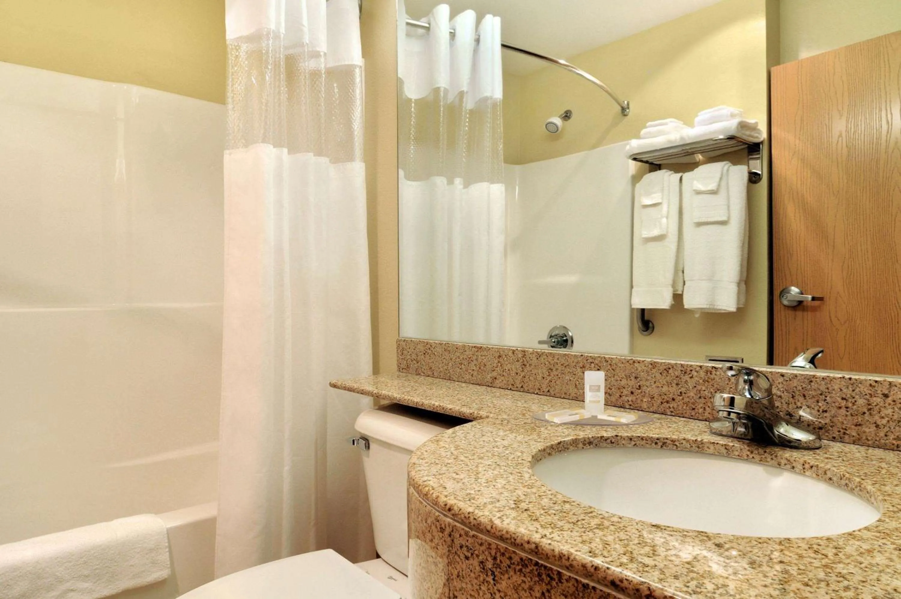 Bathroom in Microtel Inn & Suites by Wyndham Huntsville