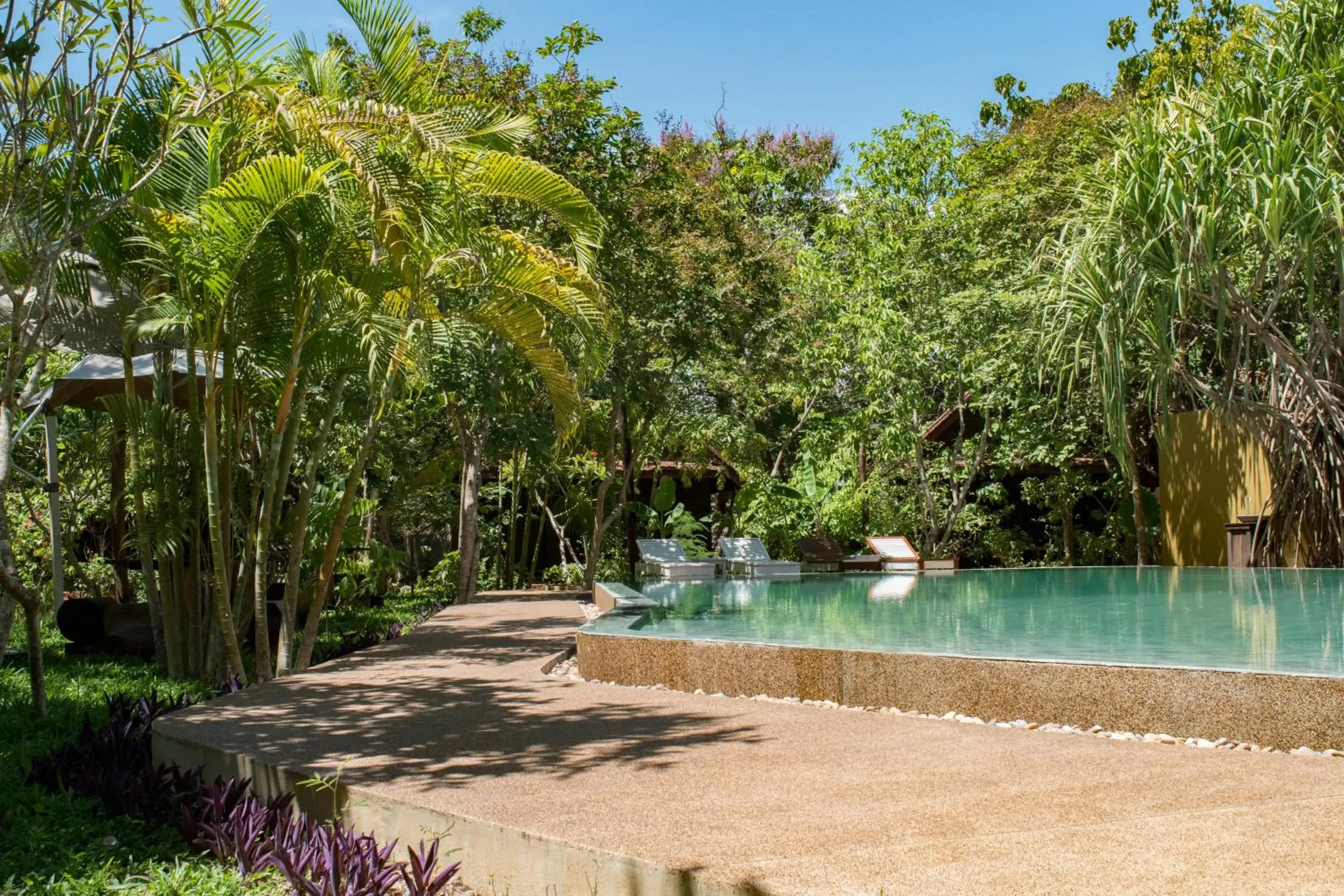 Garden, Swimming Pool in Palm Village Resort & Spa
