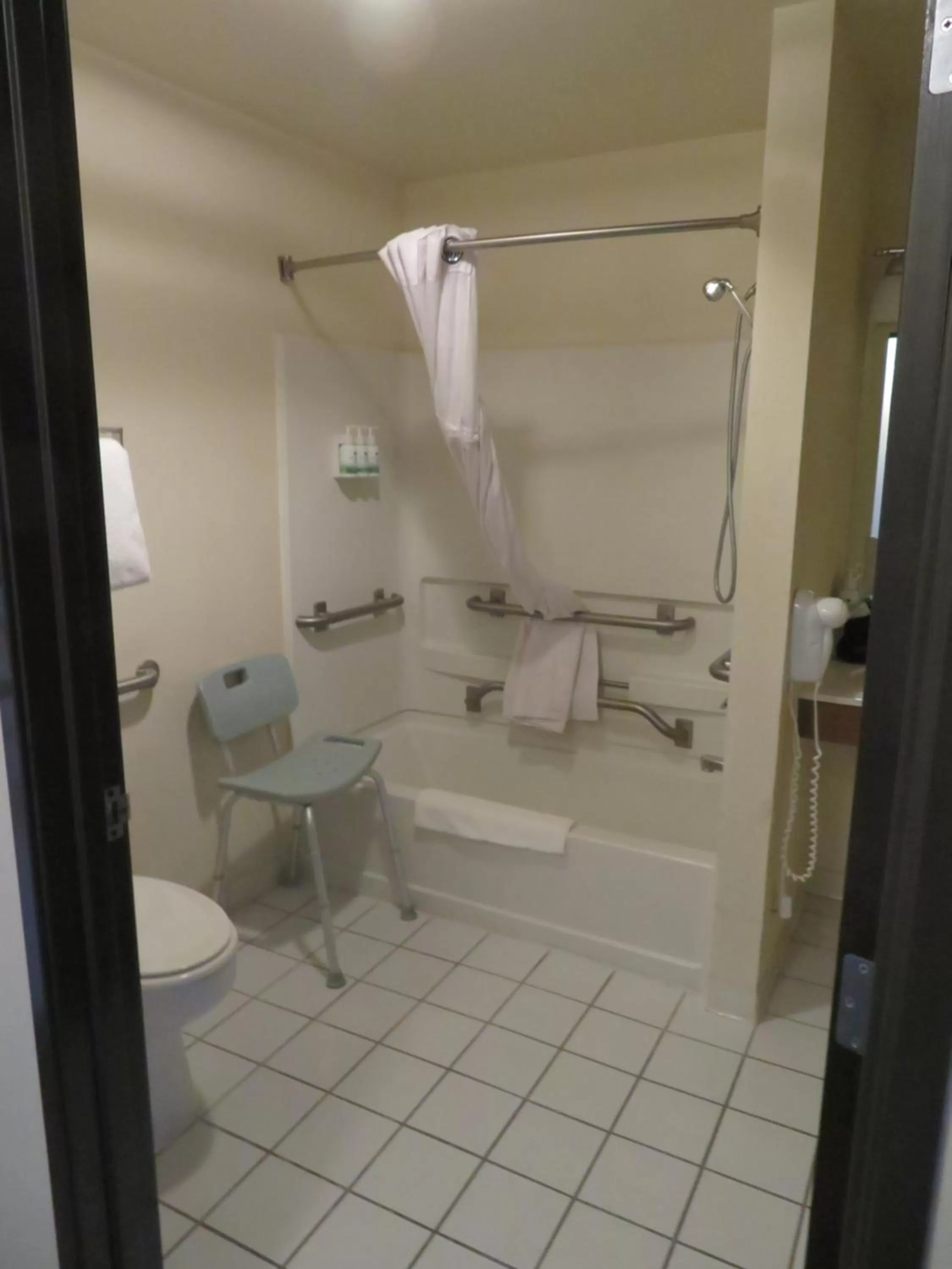 Bathroom in GreenTree Inn Montrose