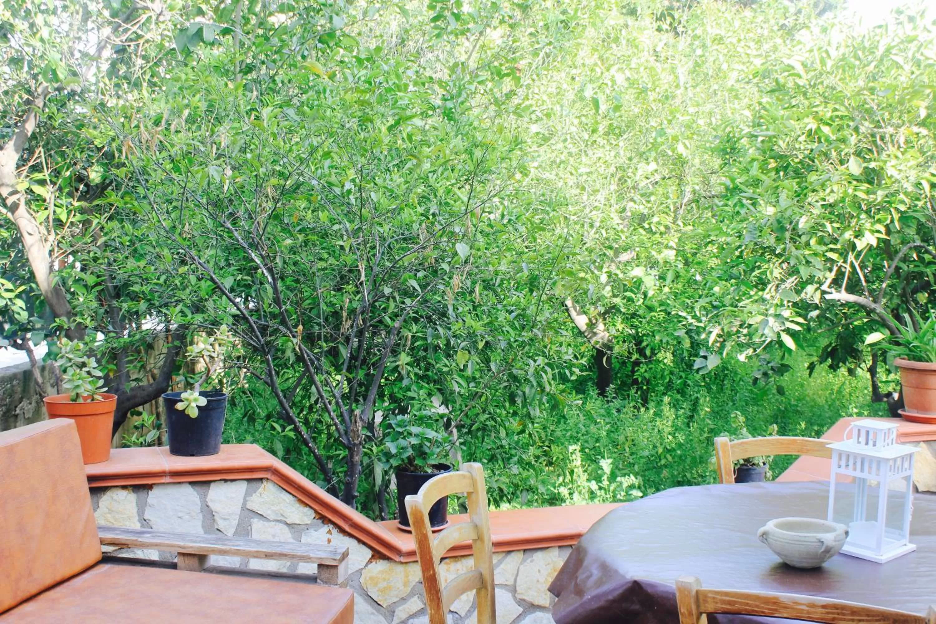 Garden view in La Casetta