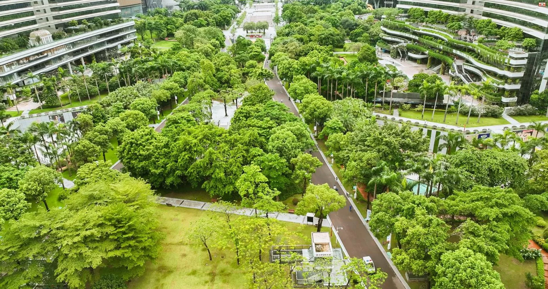 View (from property/room) in Grand Hyatt Guangzhou