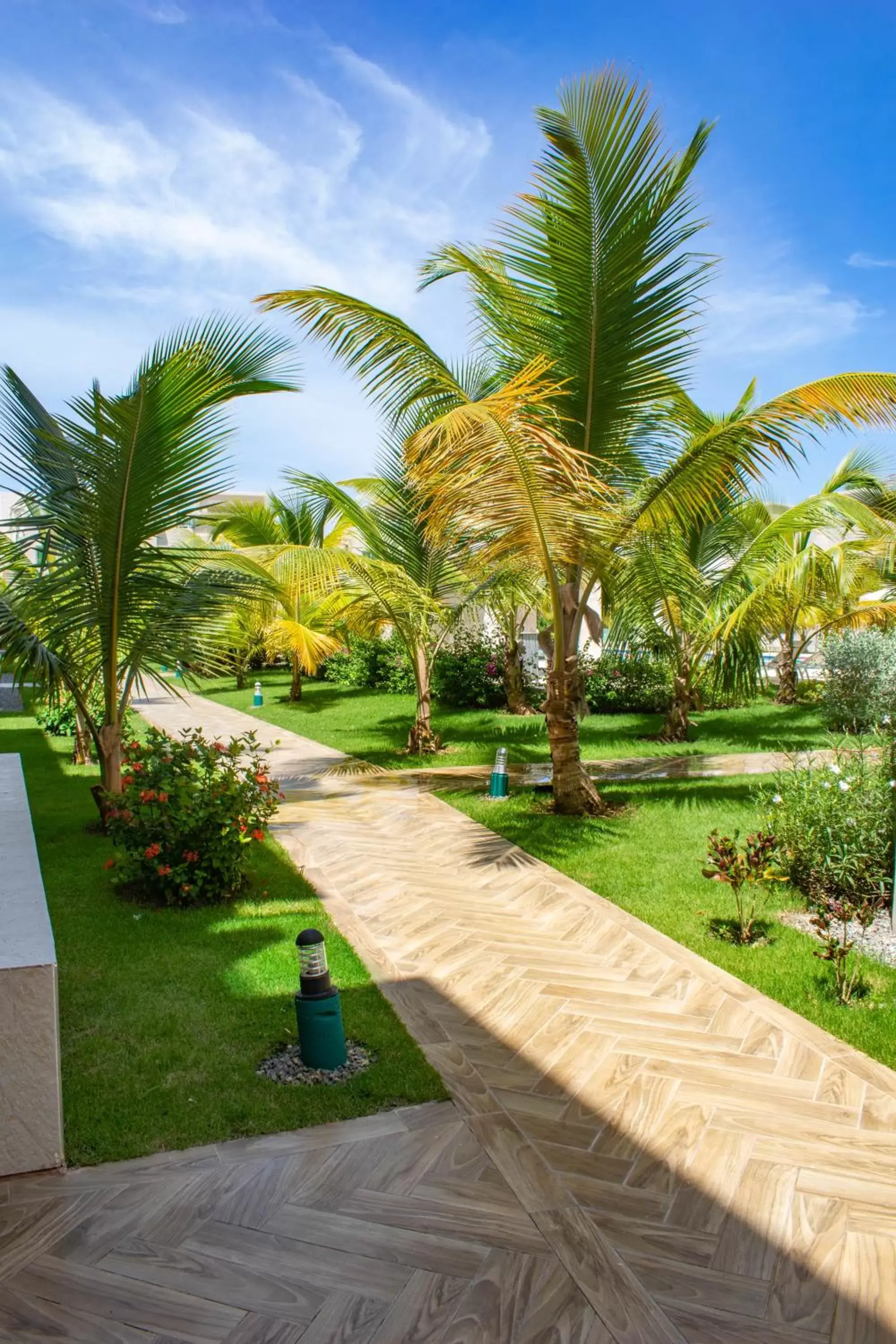 Garden in Playa Palmera Beach Resort