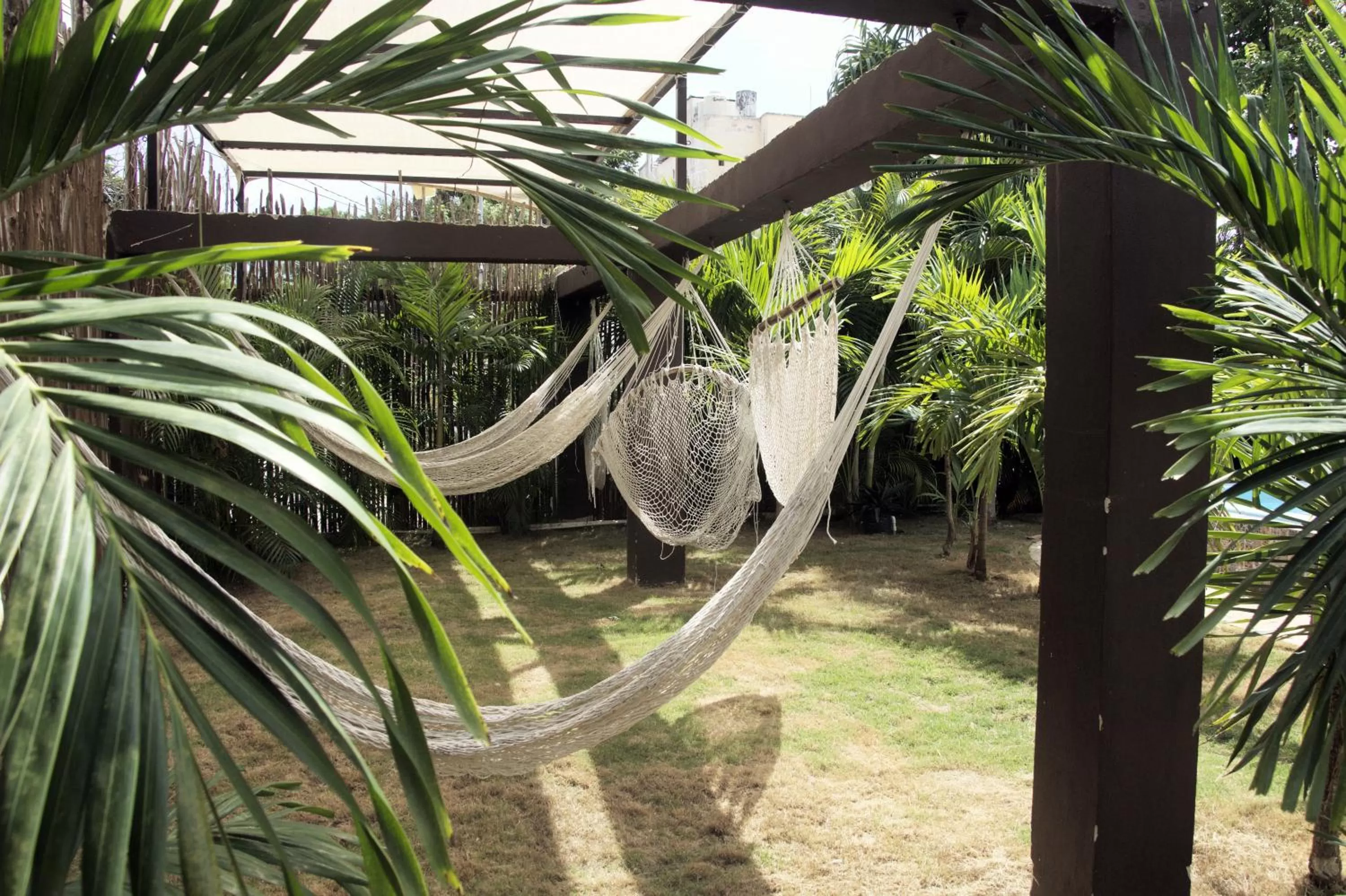 Garden in Hotel & Hostal Casa de Luz Cancun