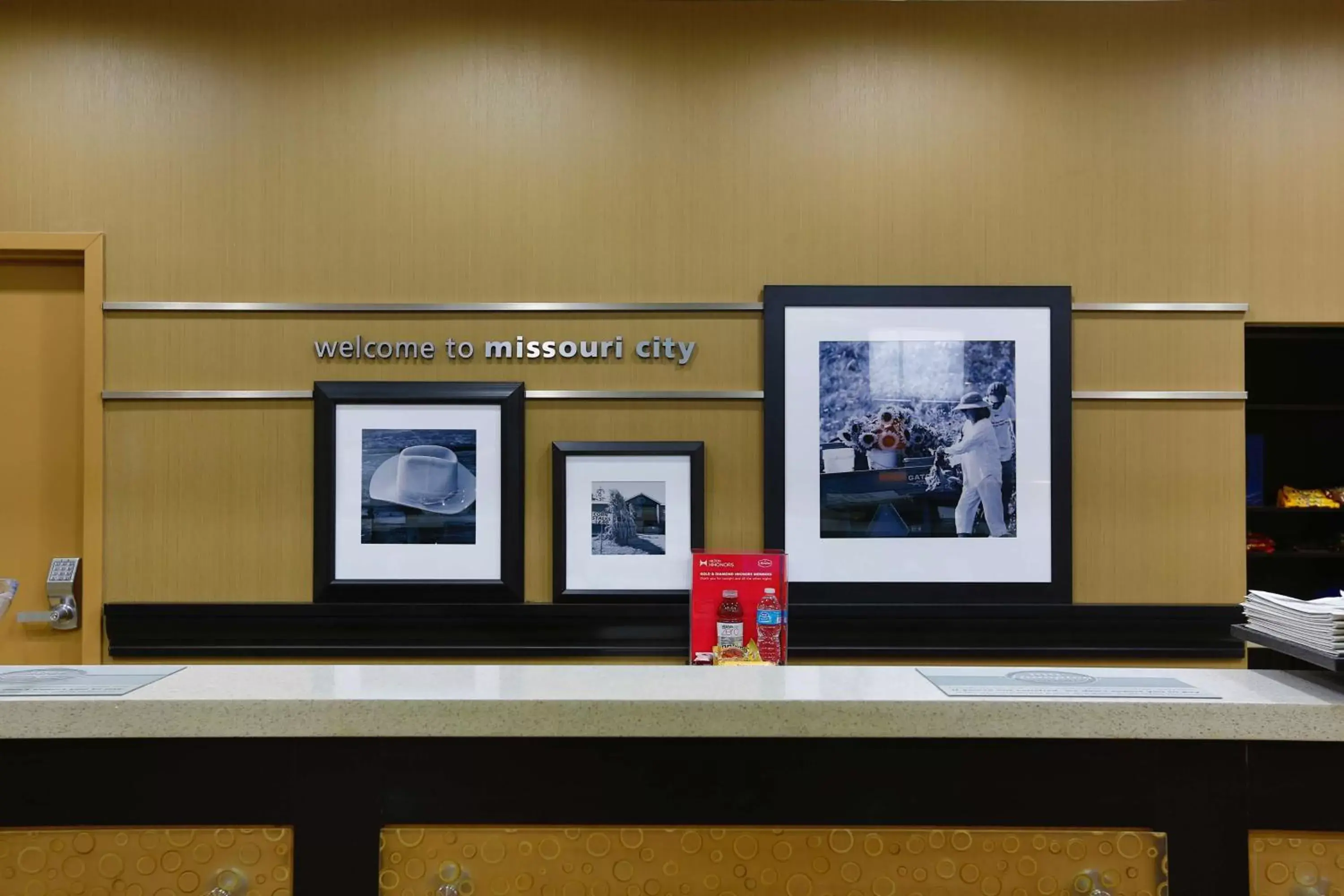 Lobby or reception in Hampton Inn and Suites Missouri City