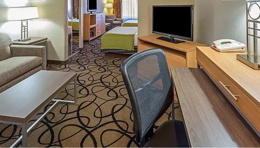 TV/Entertainment Center in Holiday Inn Express & Suites - Henderson South - Boulder City, an IHG Hotel