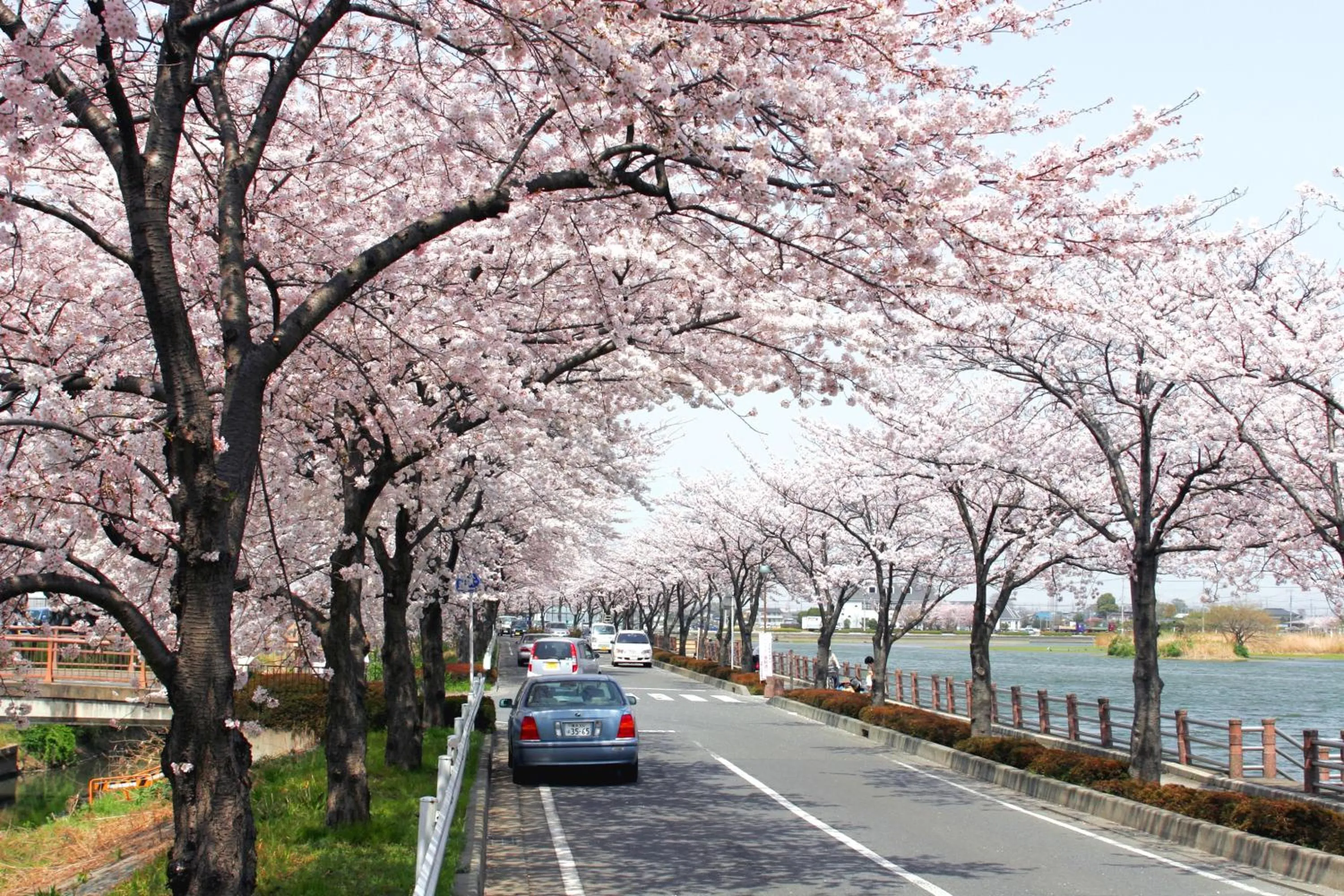 Natural landscape in Kawagoe Prince Hotel