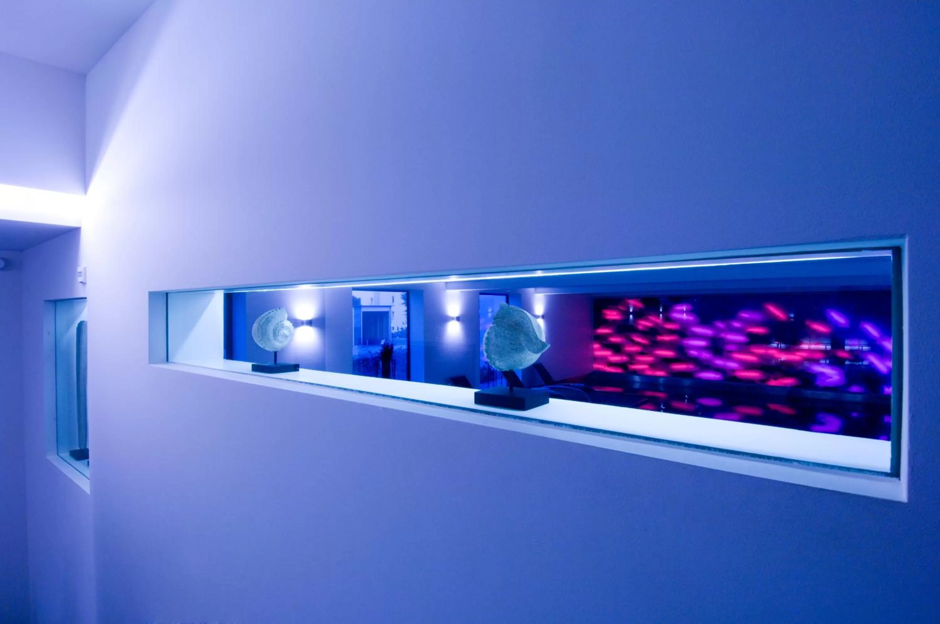 Swimming pool in Hotel Knoblauch