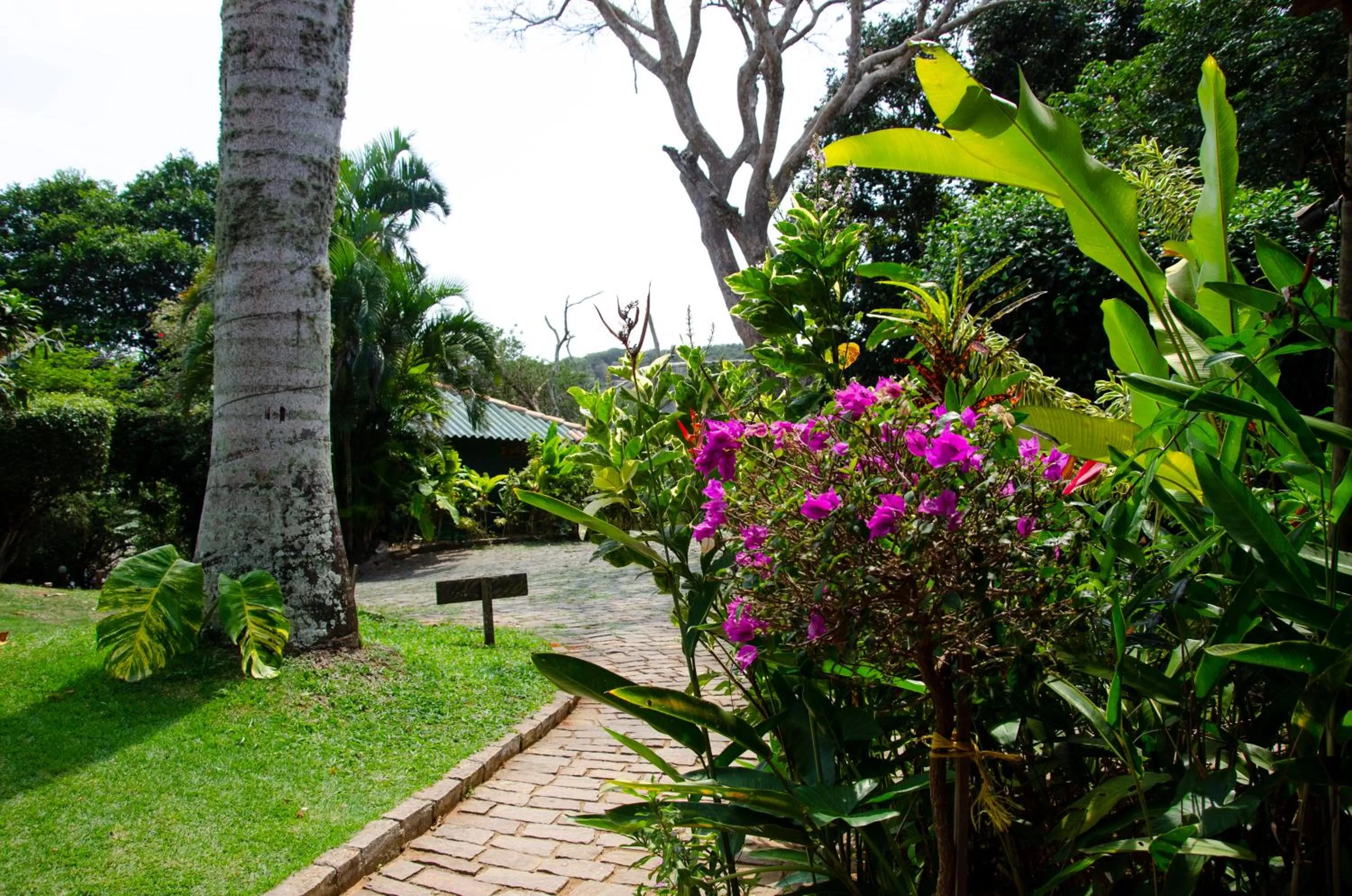 Garden in Pousada Afrika