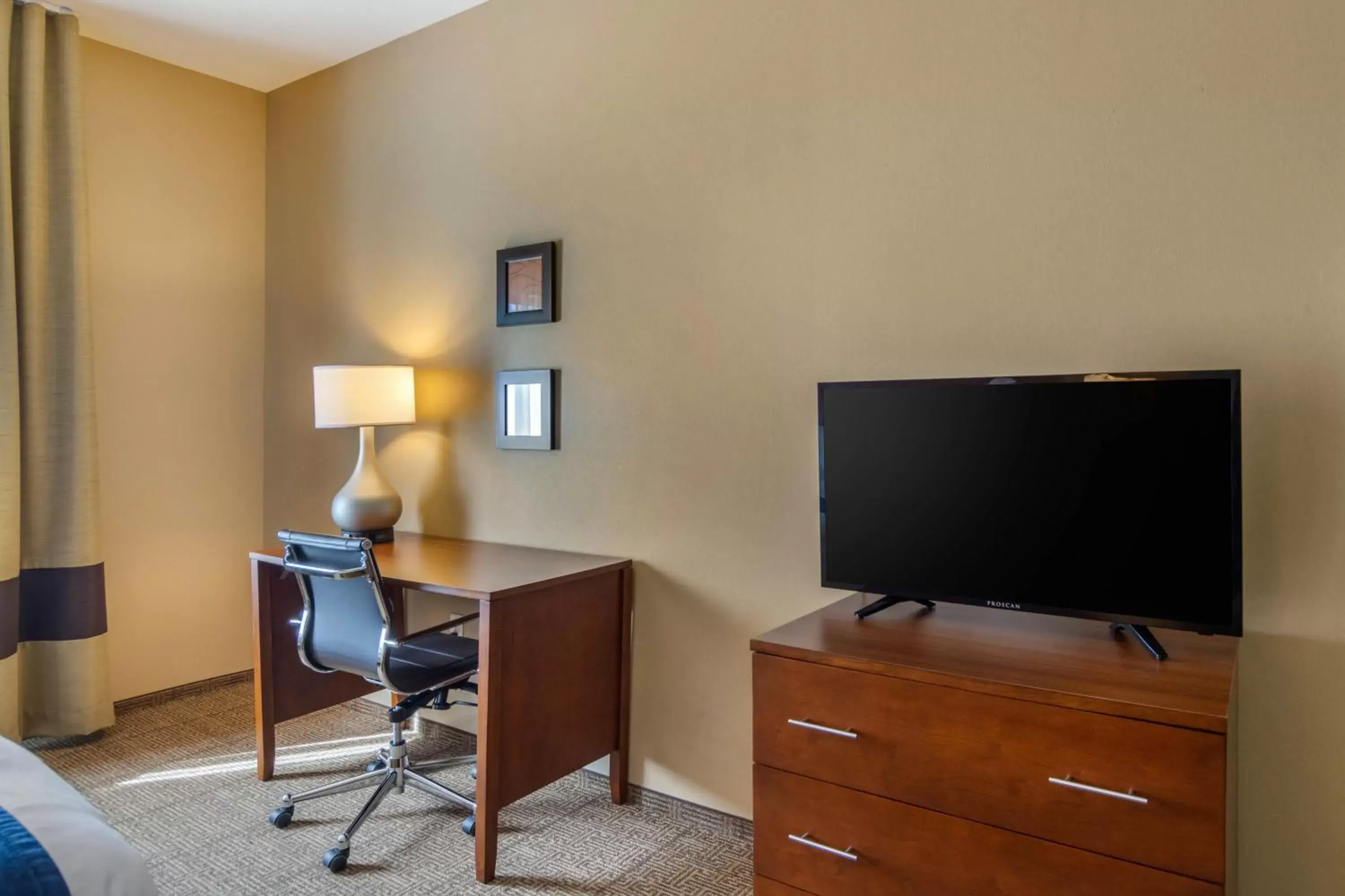 Photo of the whole room, TV/Entertainment Center in Comfort Inn South Chesterfield - Colonial Heights