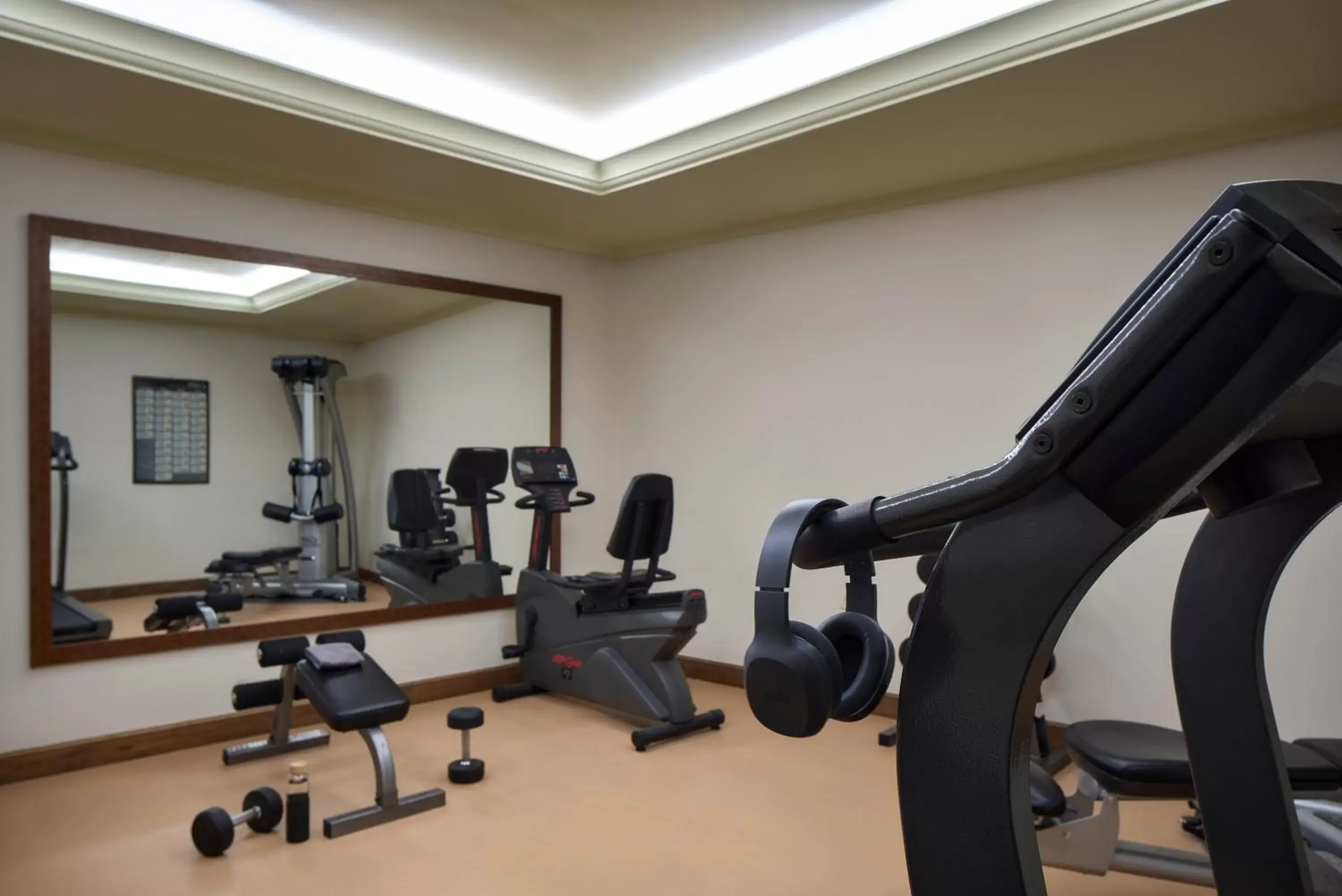 Fitness centre/facilities, Fitness Center/Facilities in Hotel Ippoliti