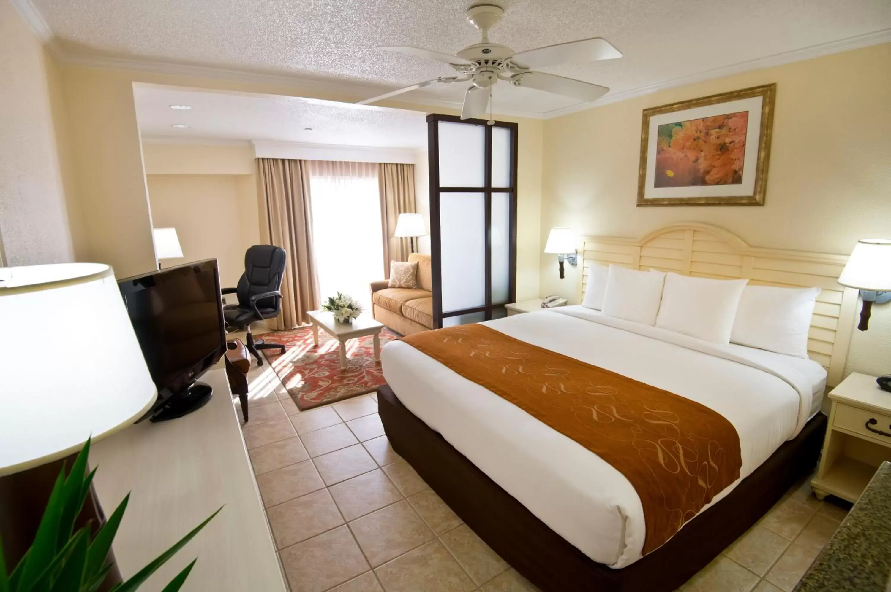Bedroom in Comfort Suites Paradise Island