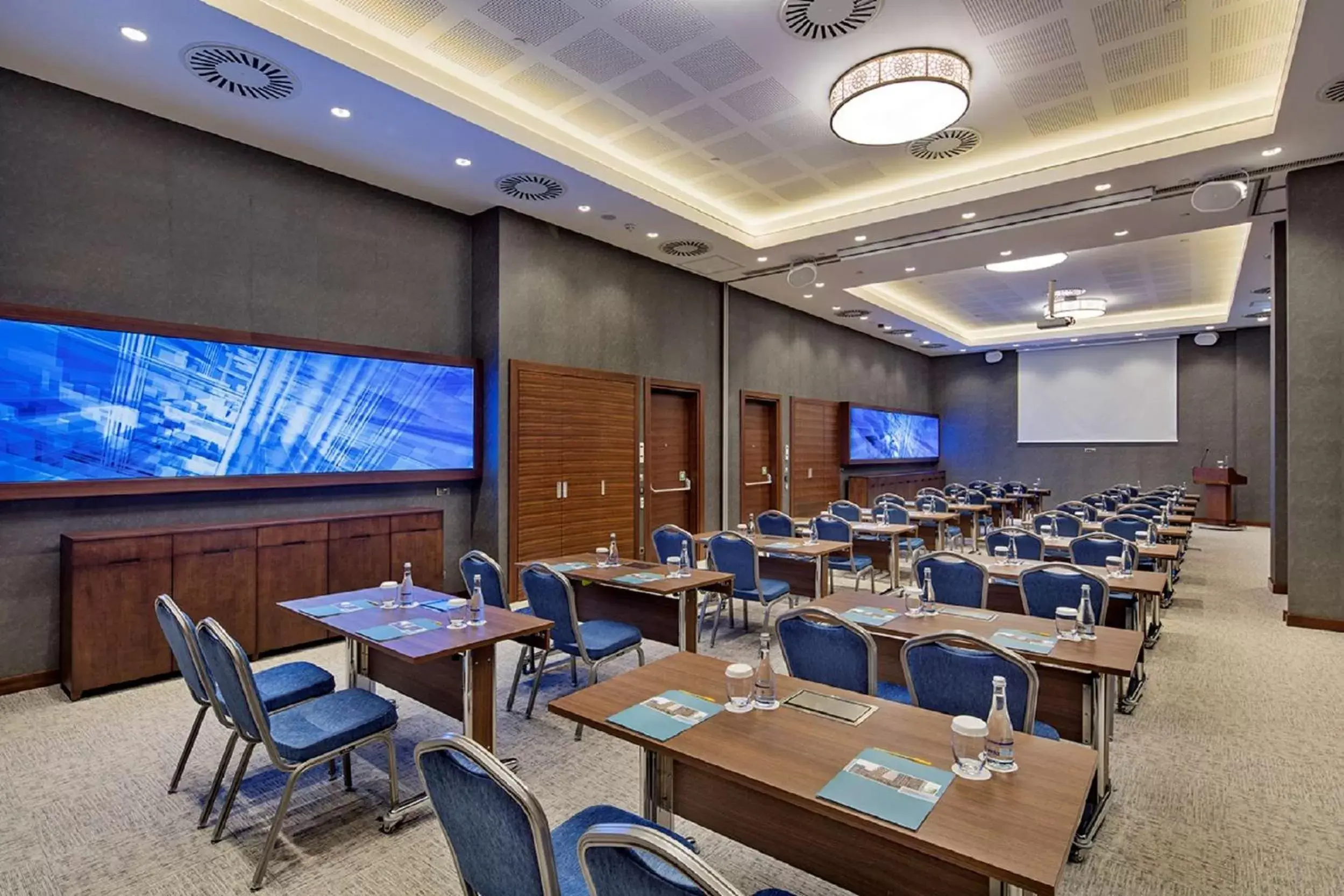 Meeting/conference room in Hilton Garden Inn Izmir Bayrakli