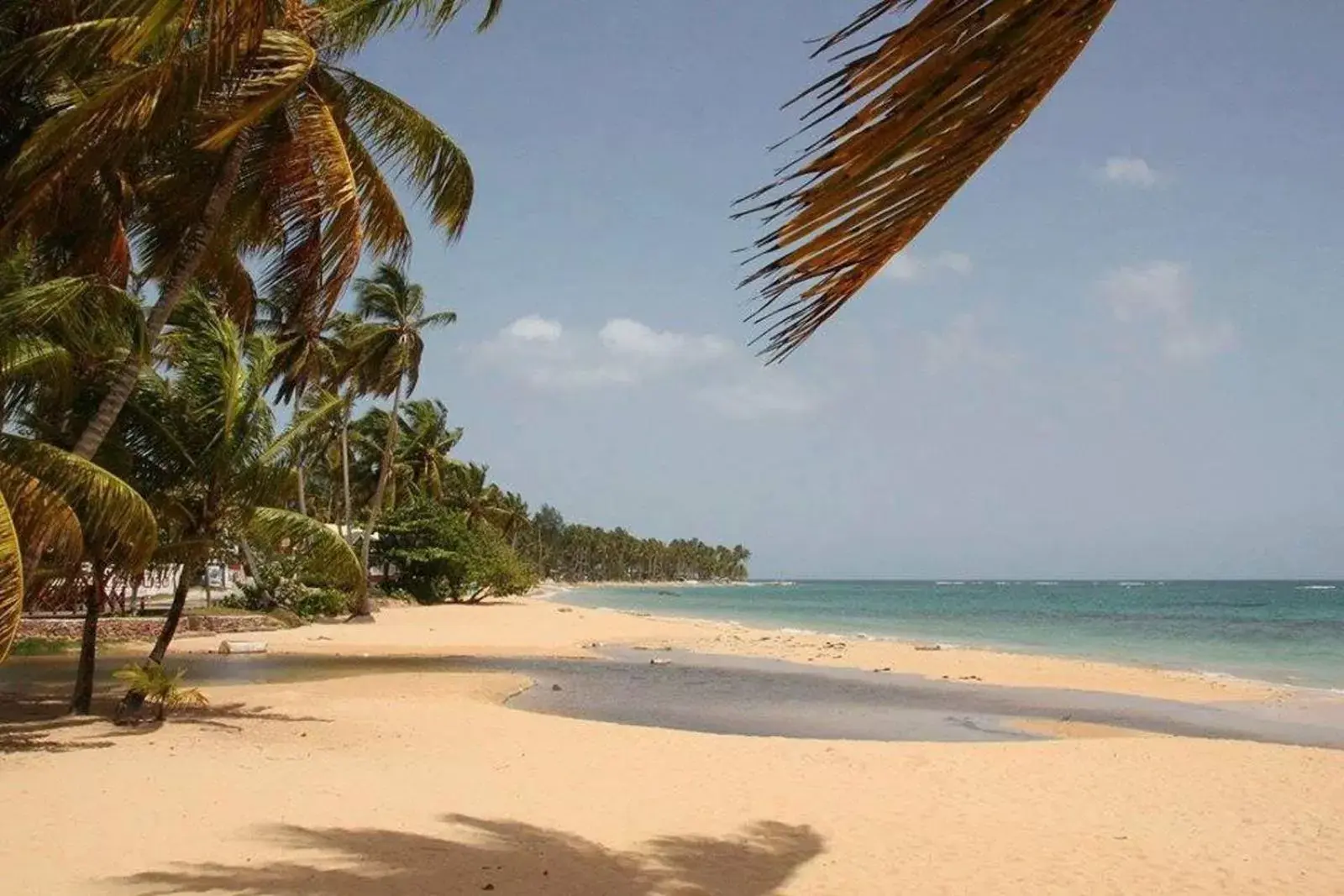 Day, Beach in Casa Brisa Mar Hotel