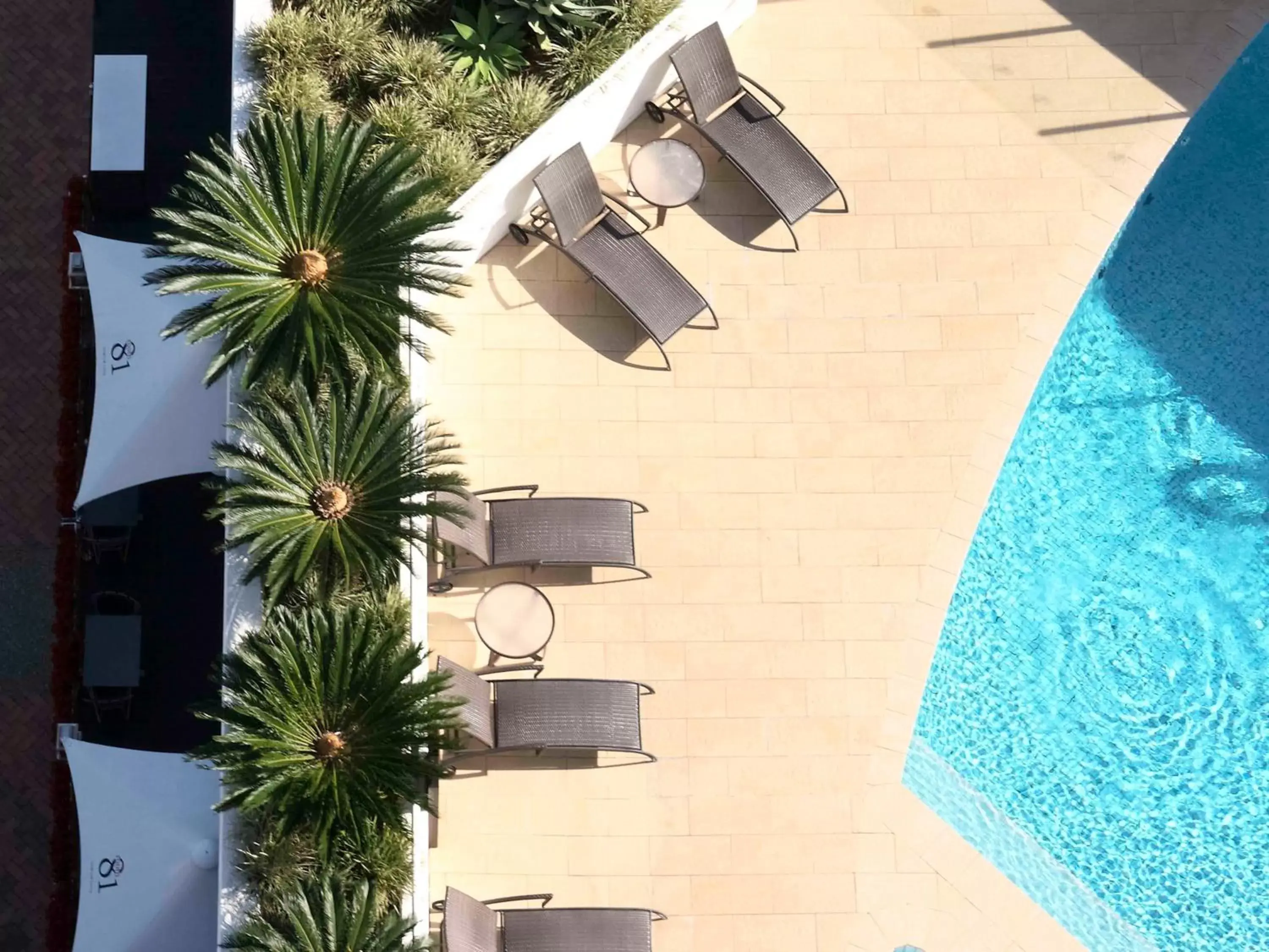 Pool View in Sofitel Gold Coast Broadbeach