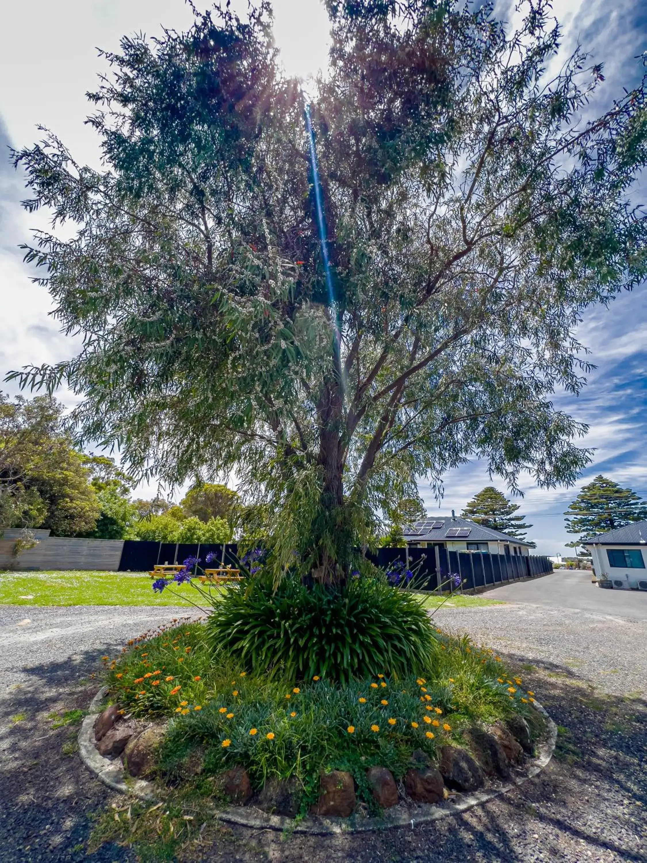Natural landscape, Garden in A1 Motels and Apartments Port Fairy