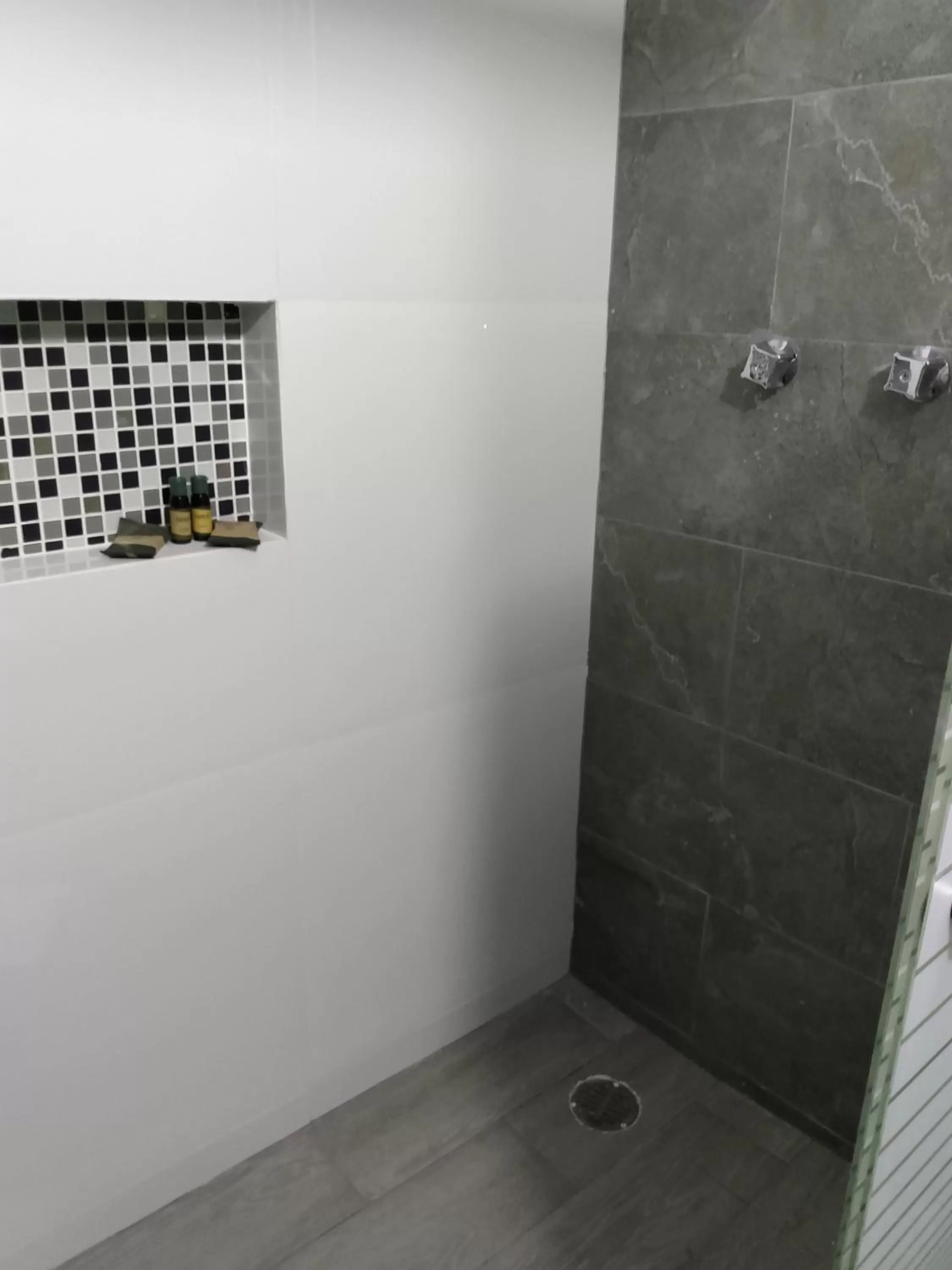 Shower in EXECUTIROOMS VERACRUZ
