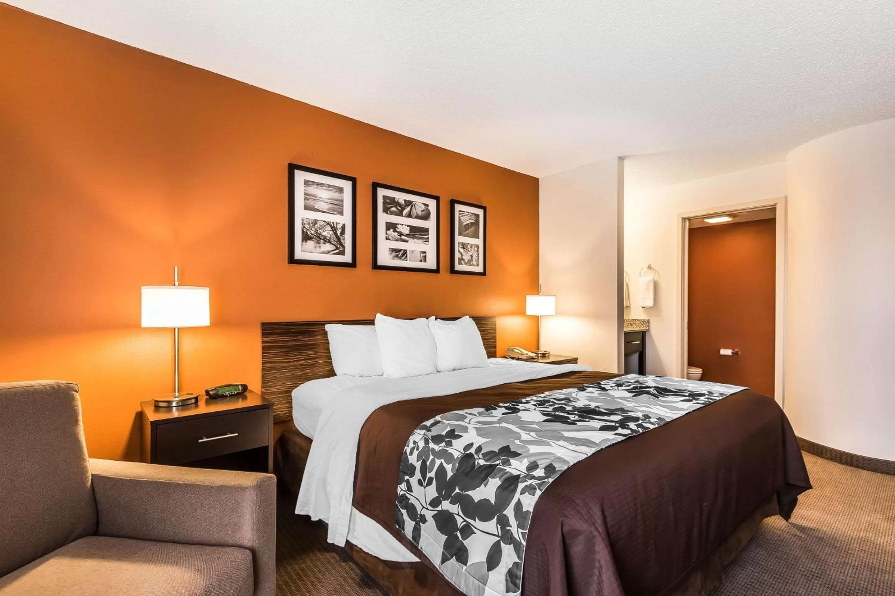 Photo of the whole room, Bed in Sleep Inn Springfield South I60 near Medical District