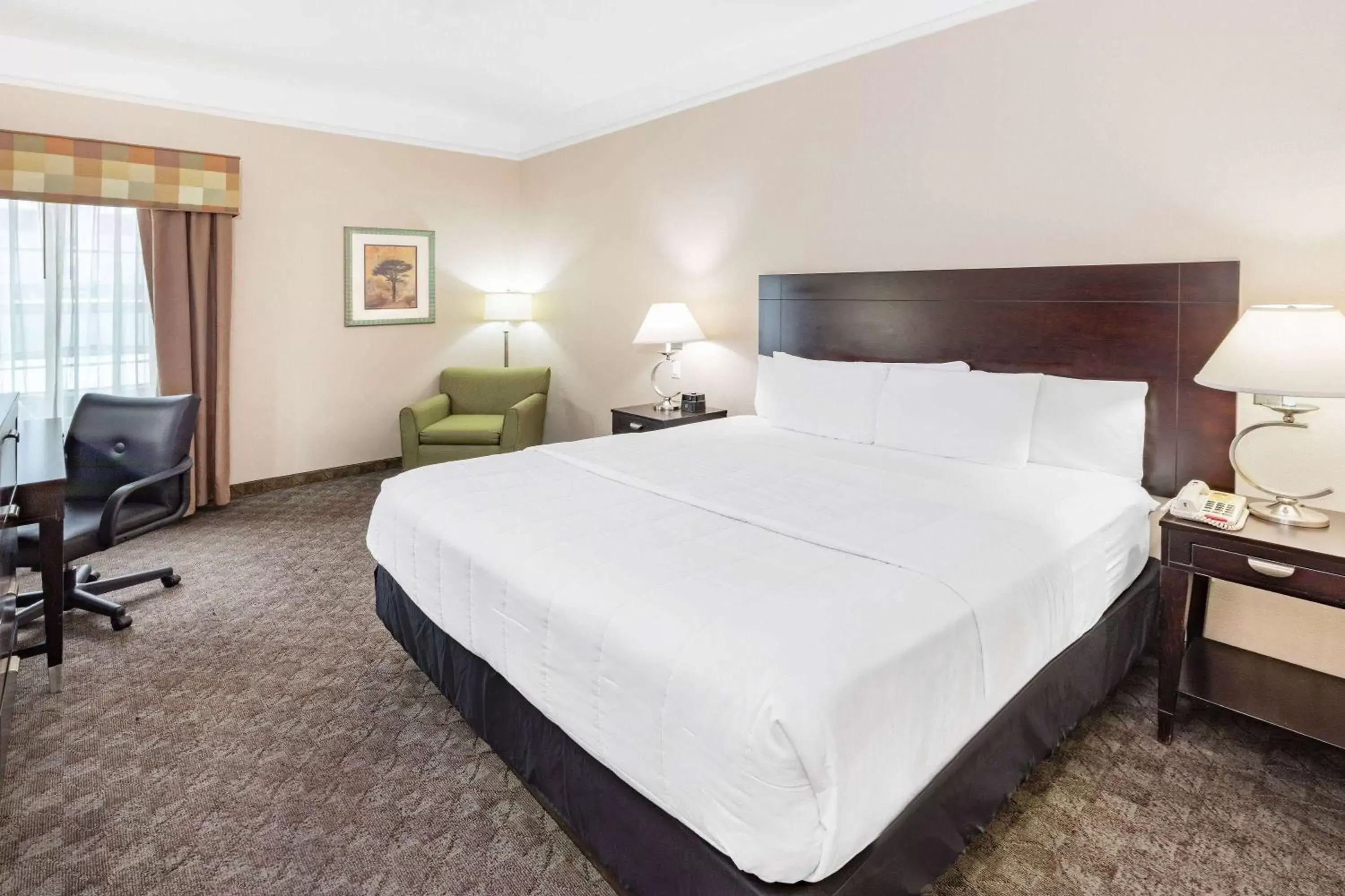Photo of the whole room, Bed in La Quinta Inn & Suites by Wyndham Pharr RGV Medical Center