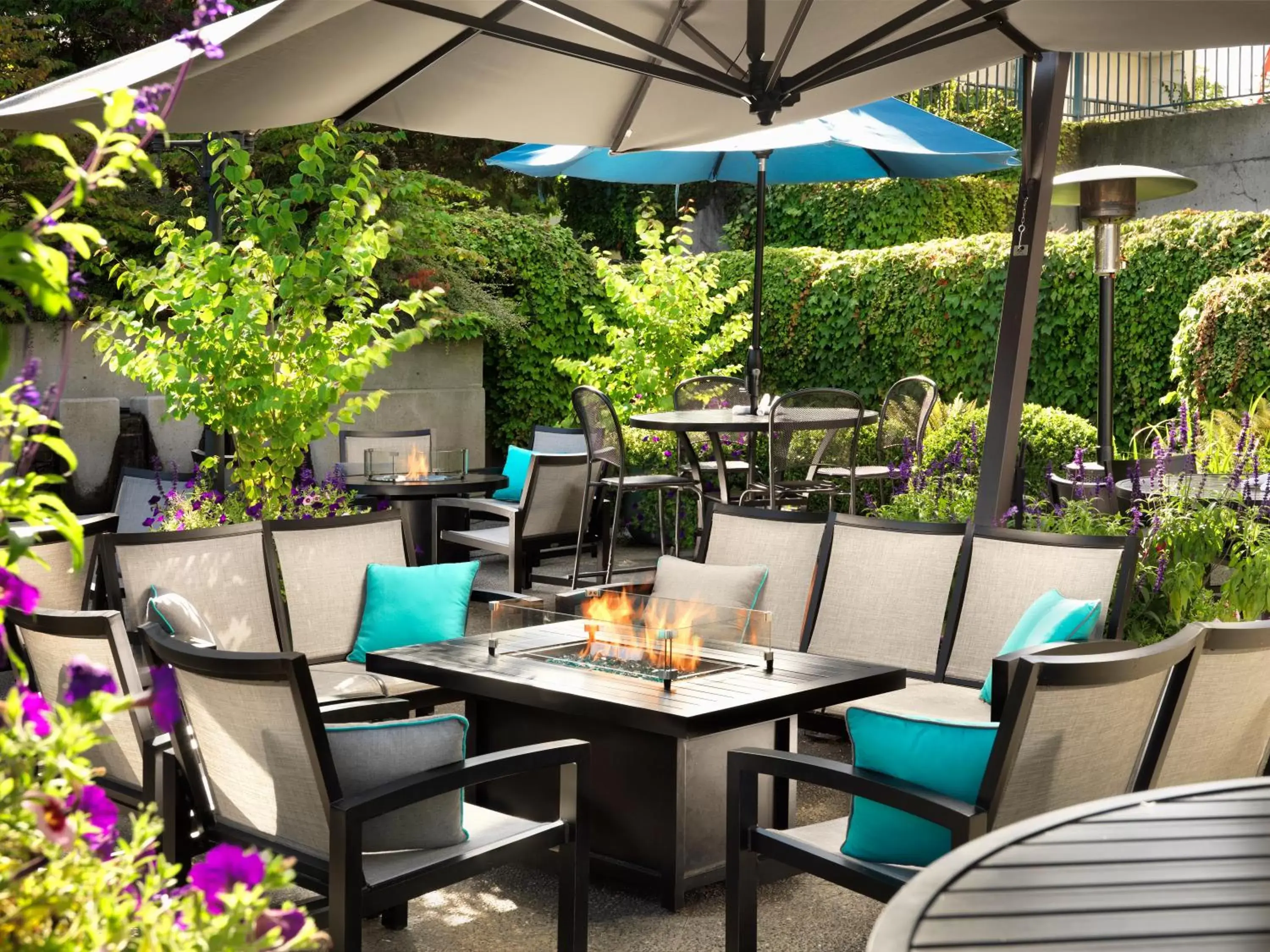 Patio, Restaurant/Places to Eat in Hotel Grand Pacific