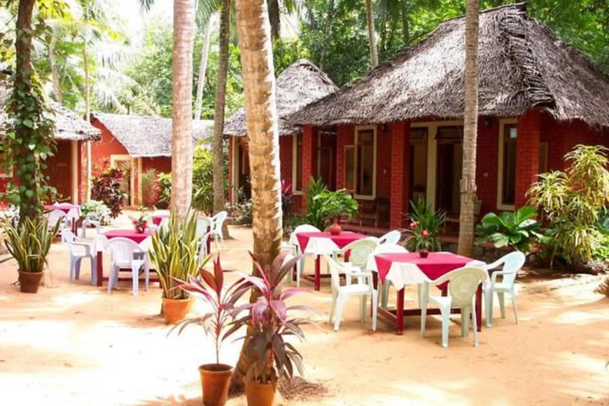 Restaurant/places to eat in Ideal Ayurvedic Resort Kovalam Restaurant/places to eat in Ideal Ayurvedic Resort Kovalam