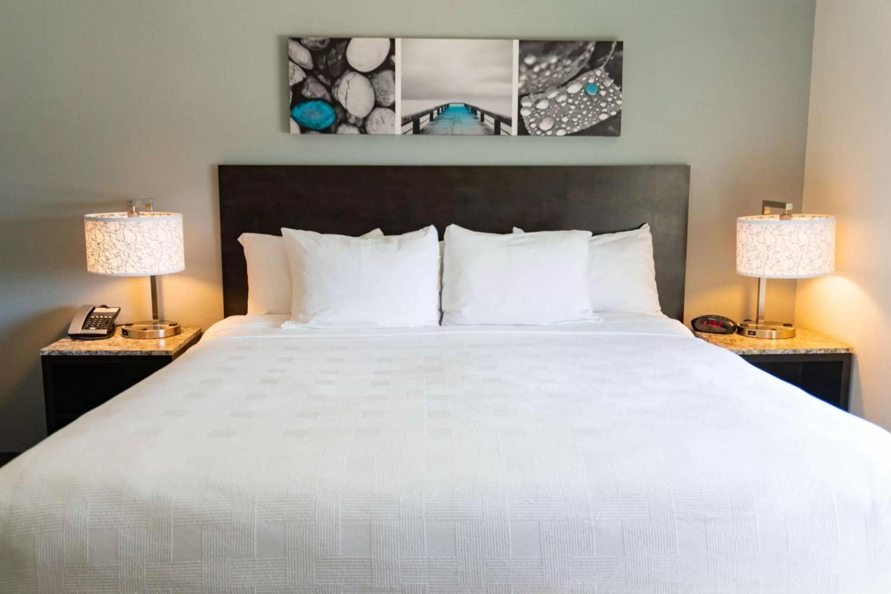Photo of the whole room, Bed in Magnolia Pointe; BW Signature Collection