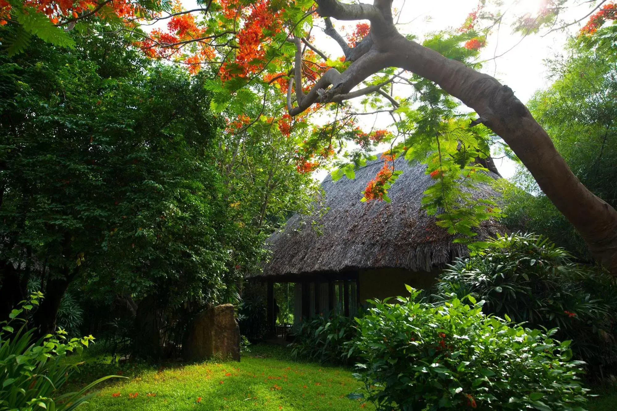 Garden, Property Building in Hon Tam Resort