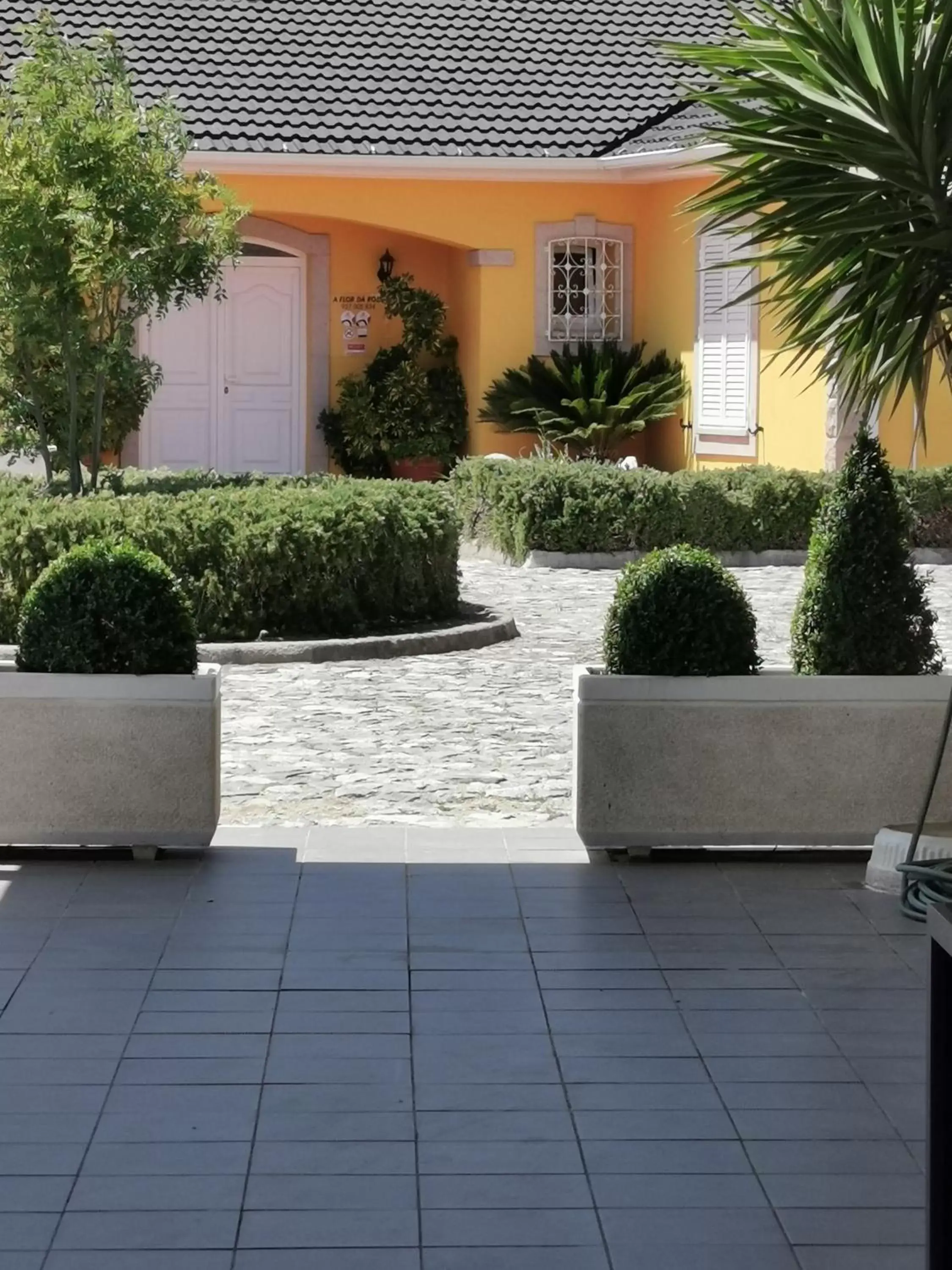 Patio, Property Building in A Flor da Rosa