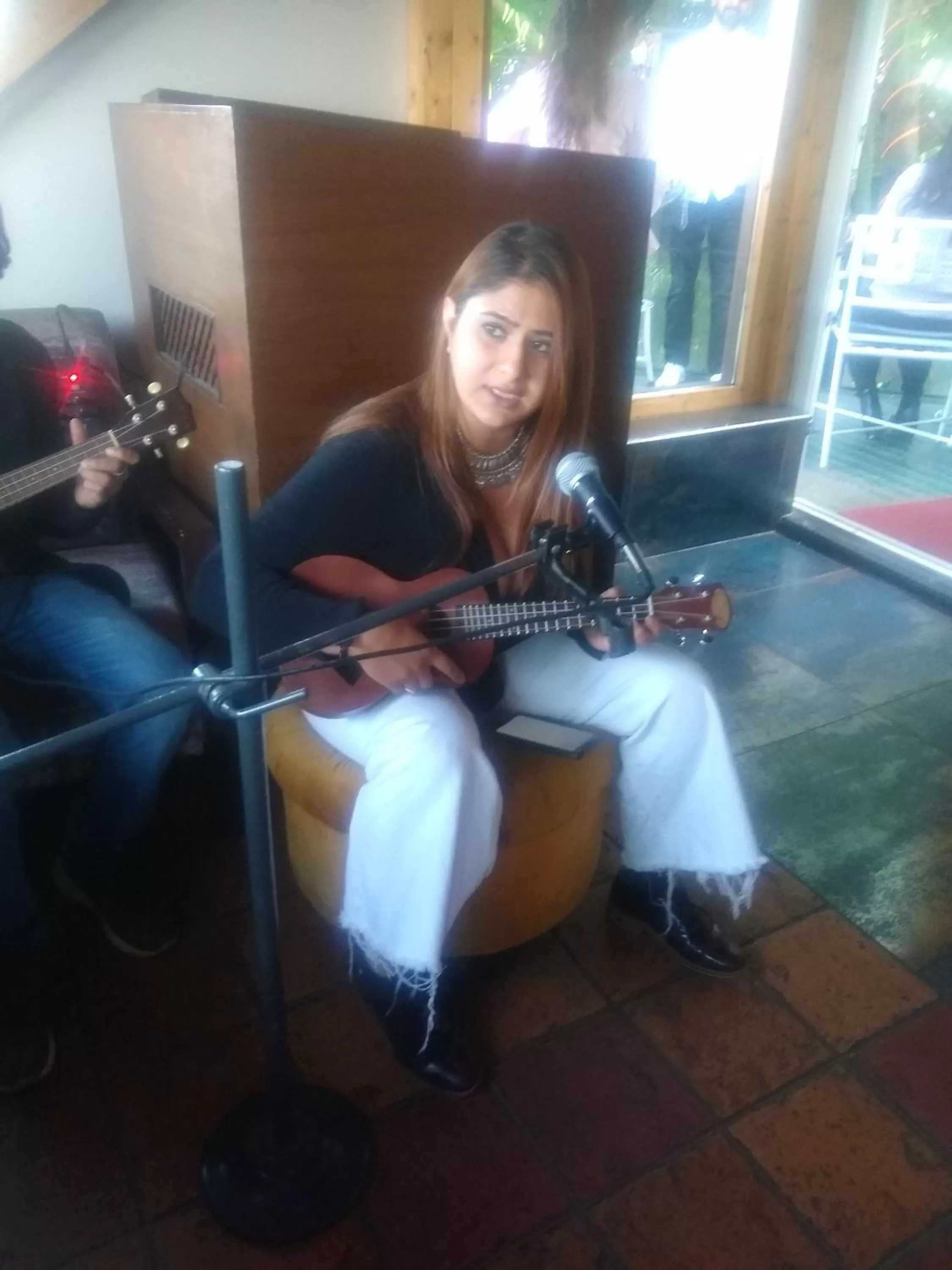 Karaoke in Hotel Kasauli Regency Stags Not Allowed