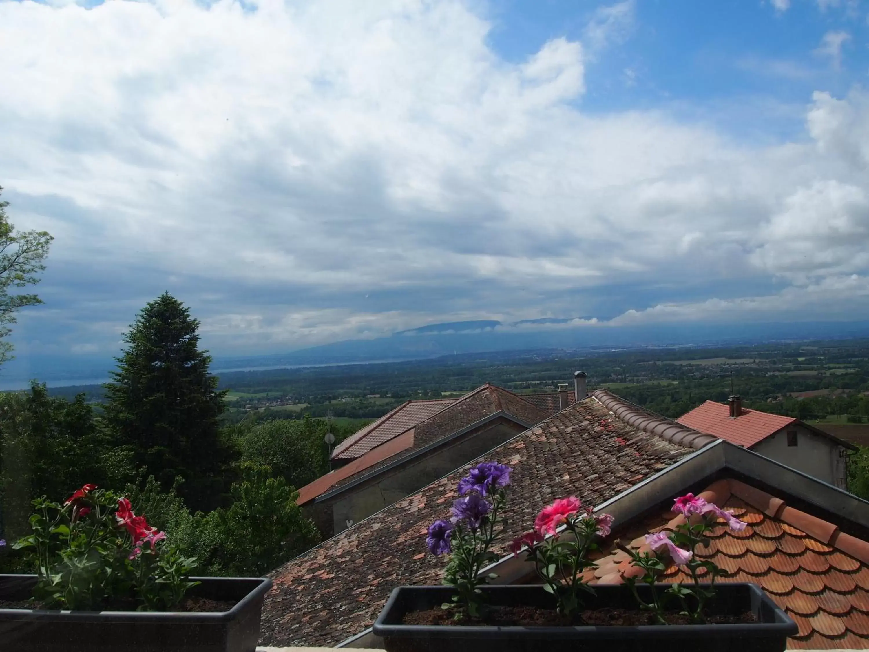 Mountain view in Les Lumières de Genève