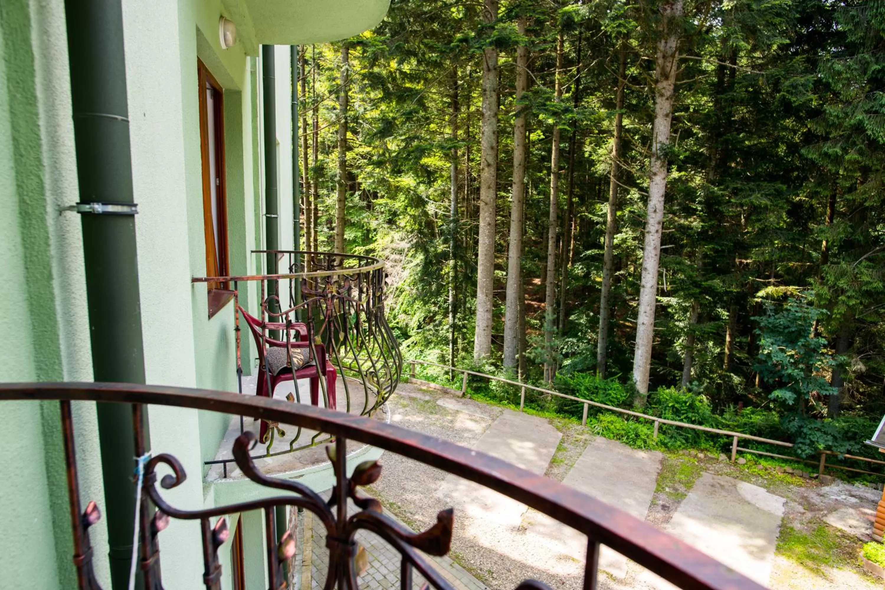 View (from property/room) in Zelenyy Bir