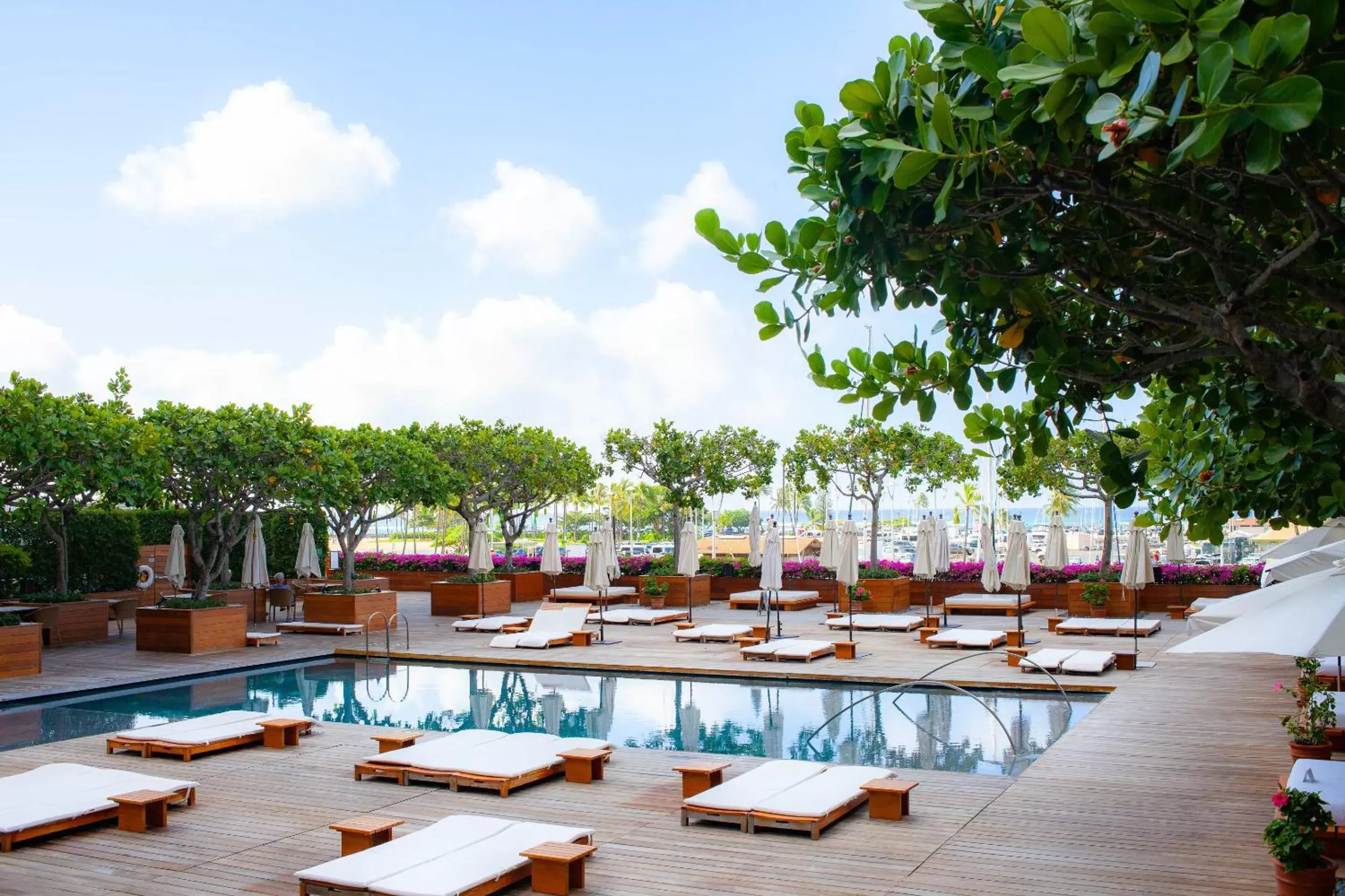 Area and facilities, Swimming Pool in Hilton Vacation Club The Modern Honolulu