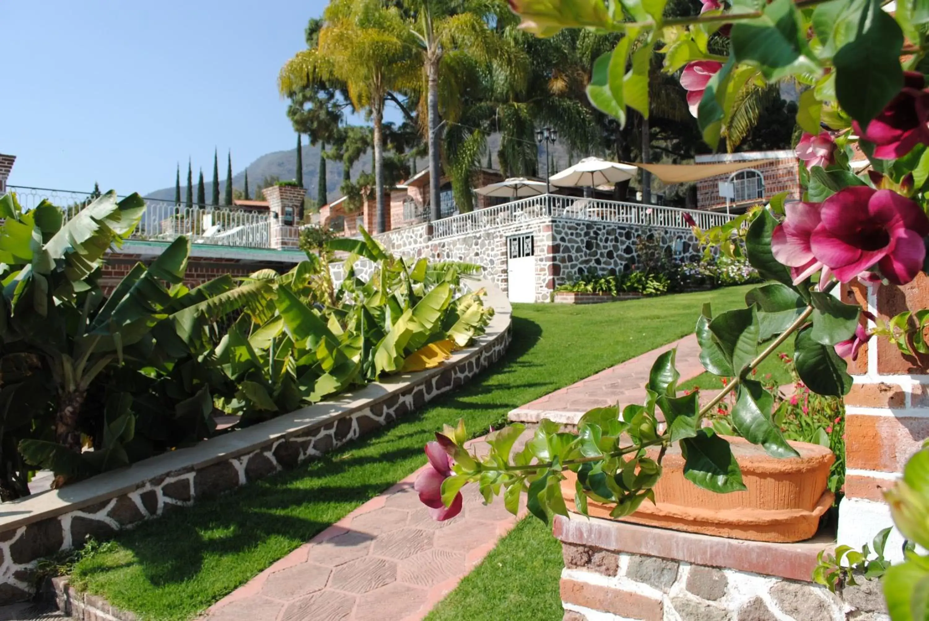 Garden in Mama Chuy Hotel & Villas