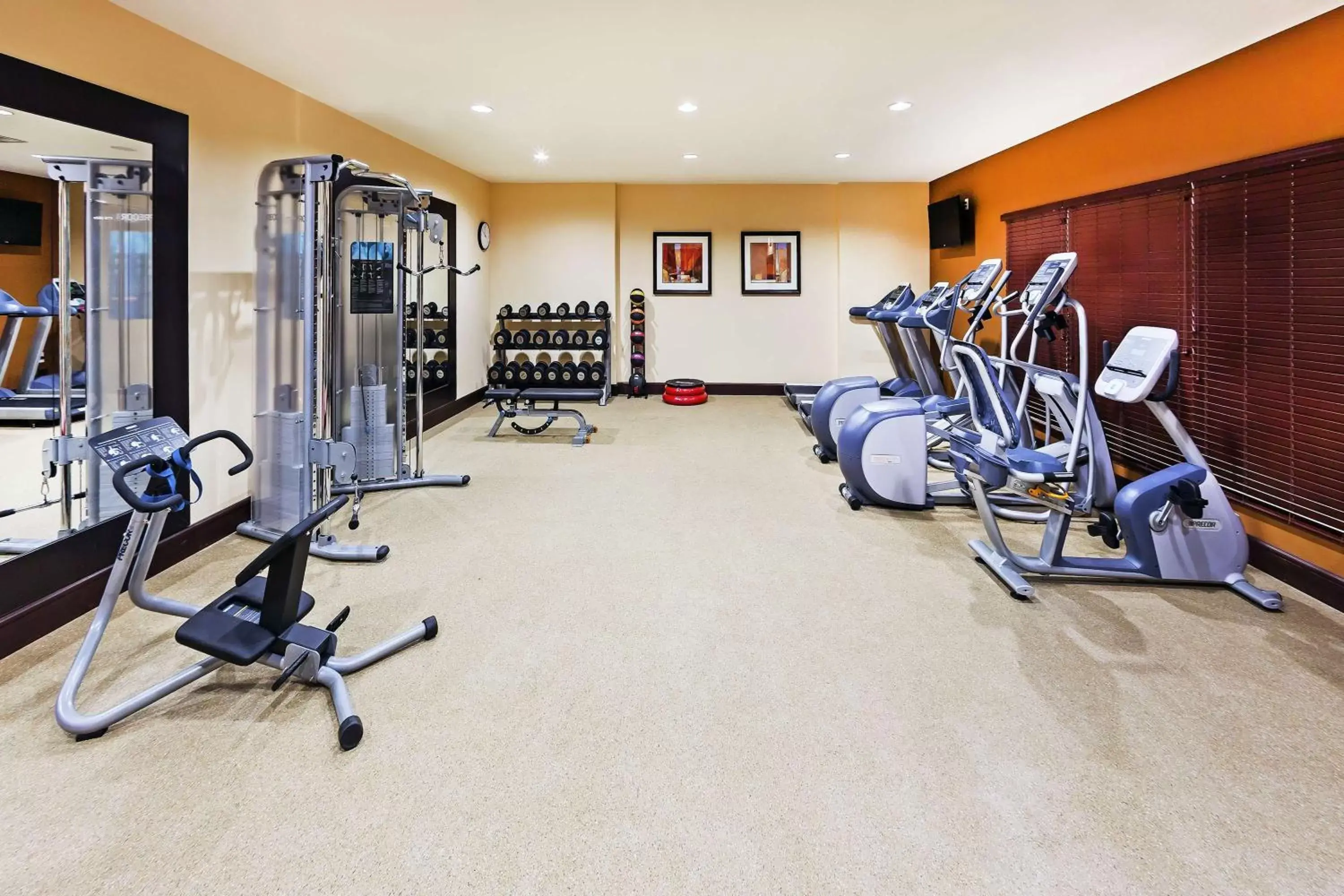 Fitness centre/facilities, Fitness Center/Facilities in Hilton Garden Inn Midland