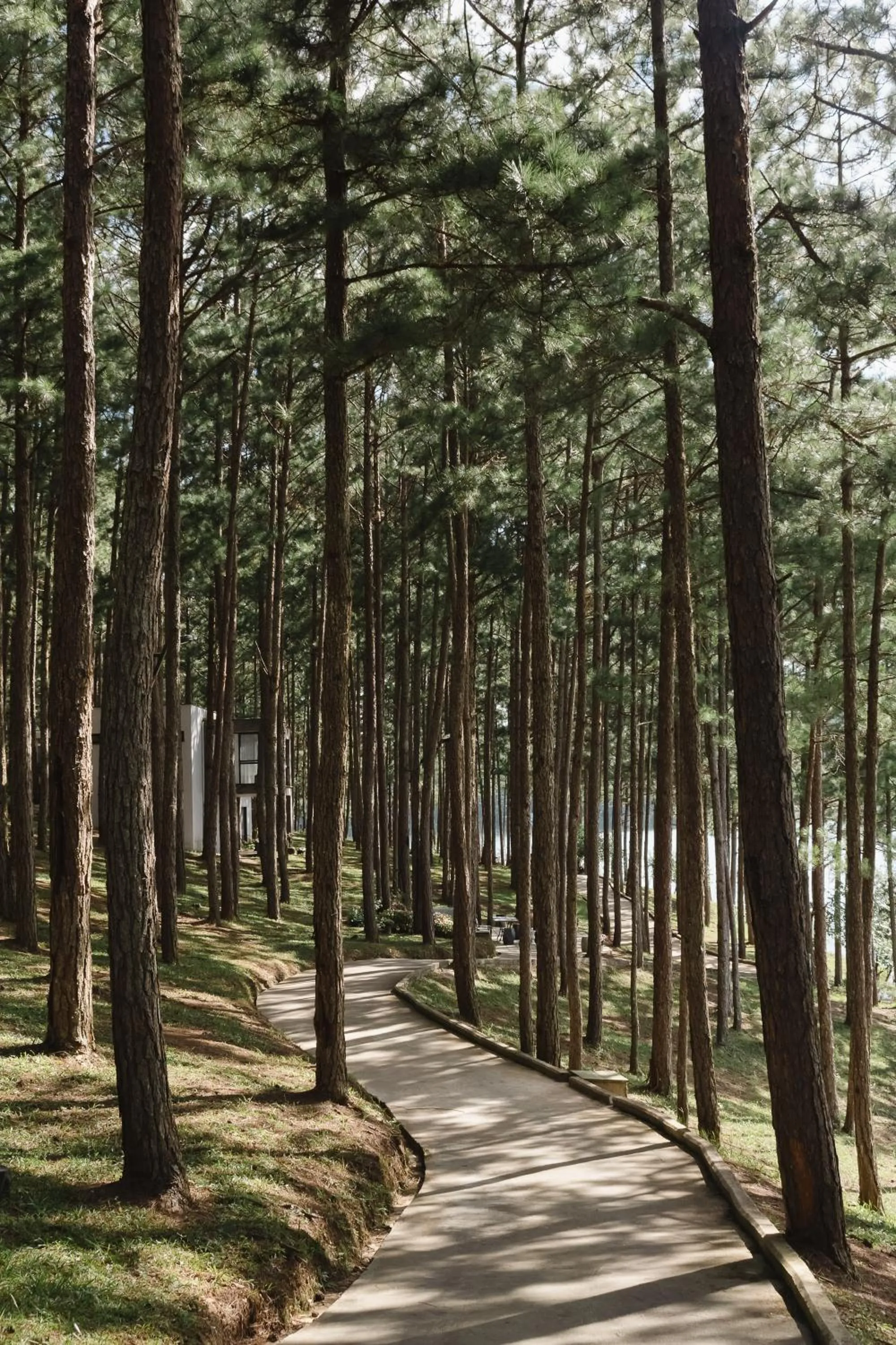 Natural landscape in Terracotta Hotel & Resort Dalat