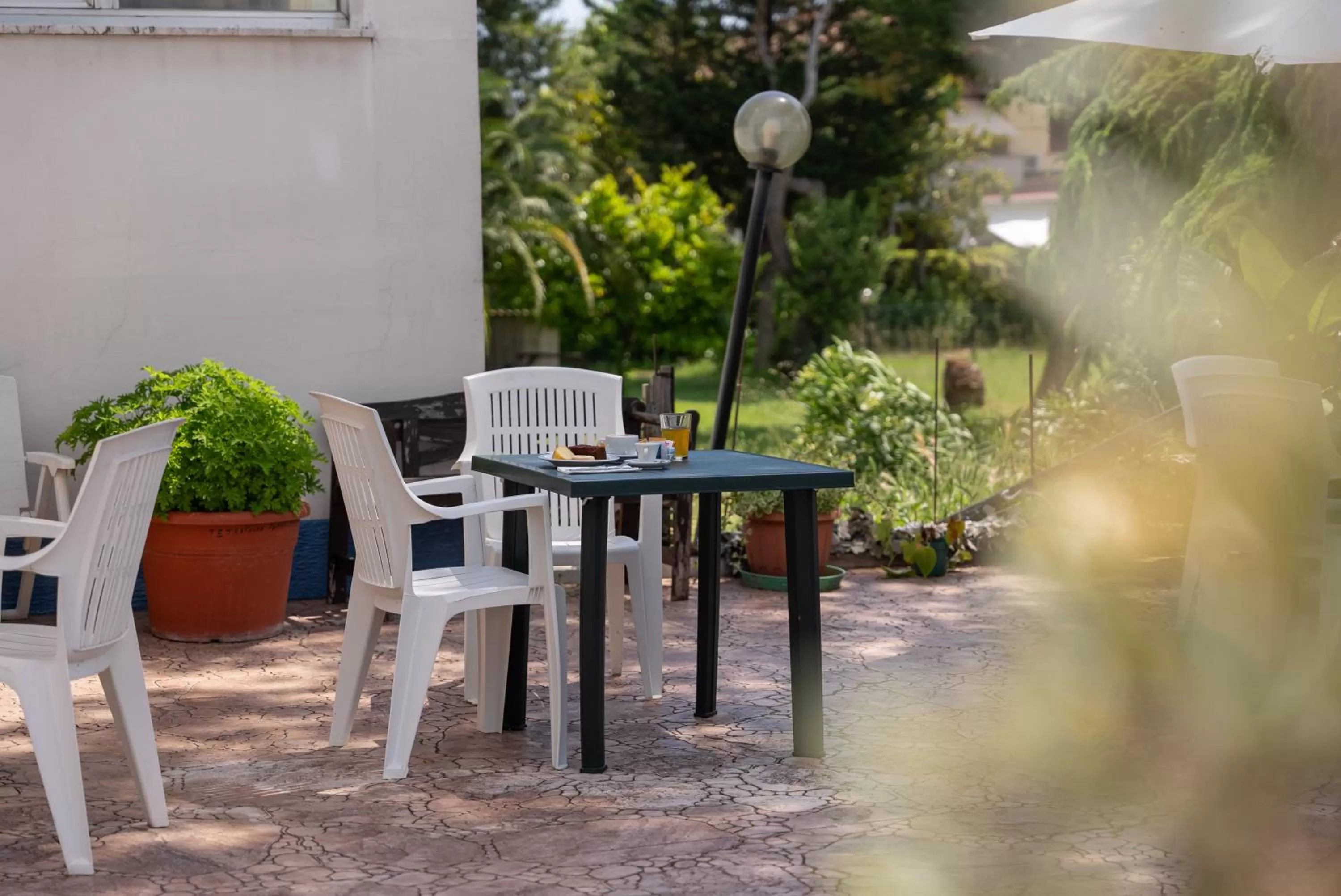 Garden in Hotel La Fonte