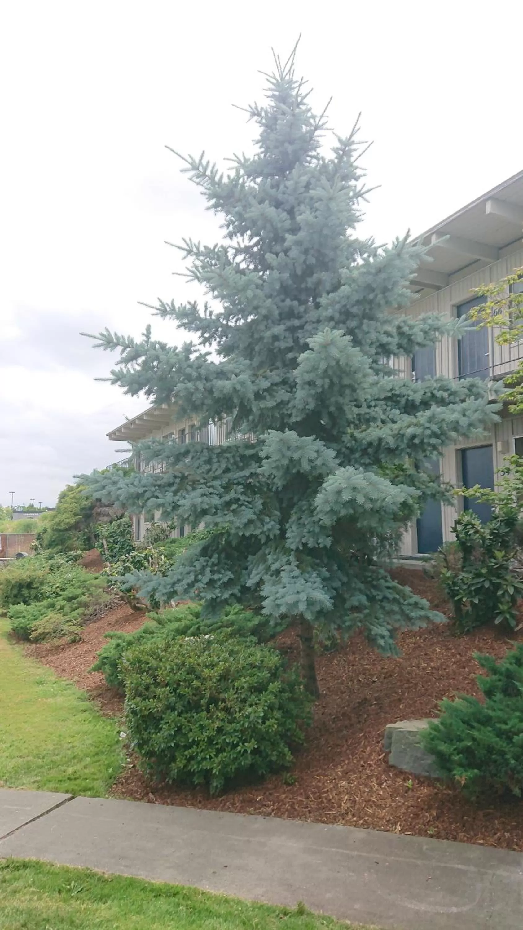 View (from property/room) in Cocusa Motel