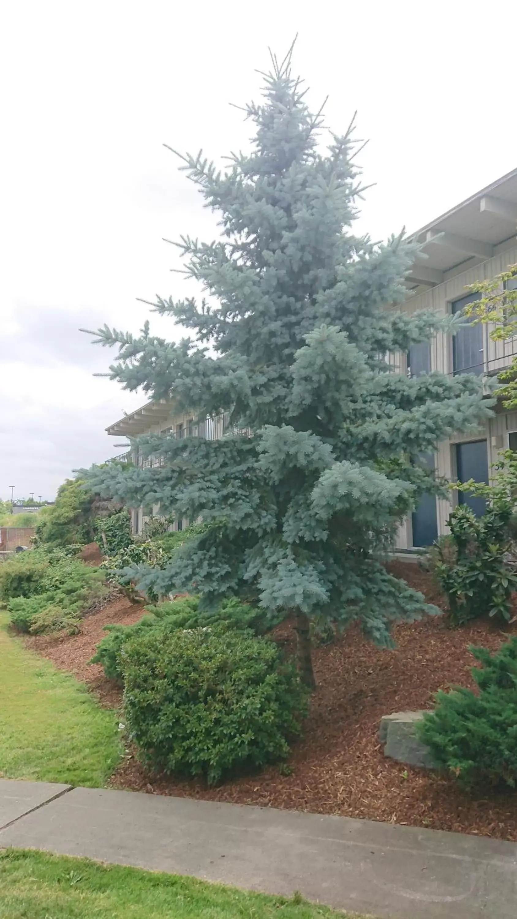 View (from property/room), Property Building in Cocusa Motel