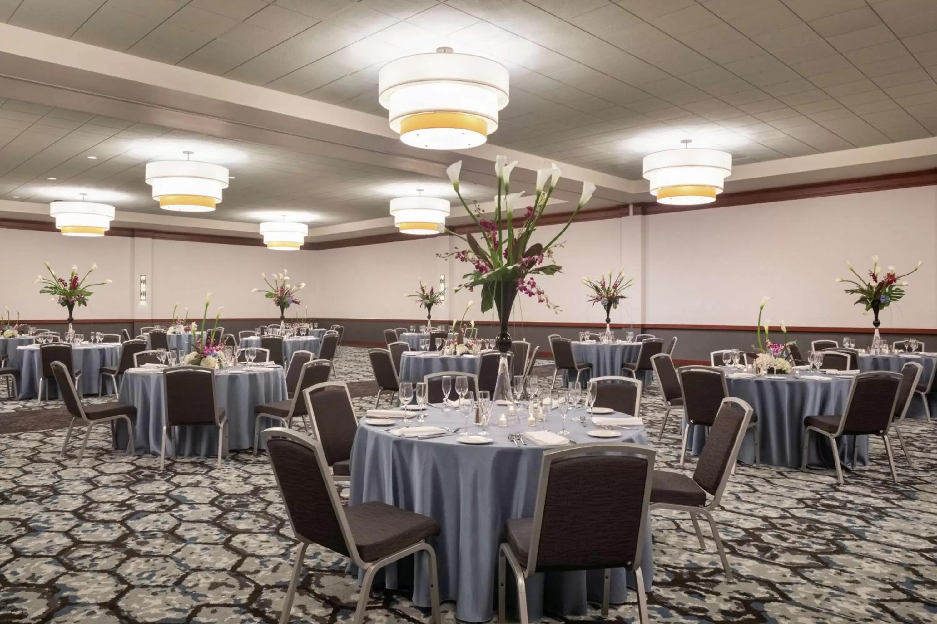 Meeting/conference room, Restaurant/Places to Eat in Hilton Garden Inn Troy