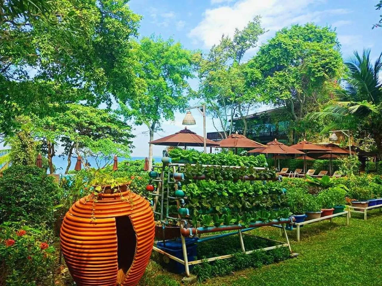 Natural landscape in Birds and Bees Resort