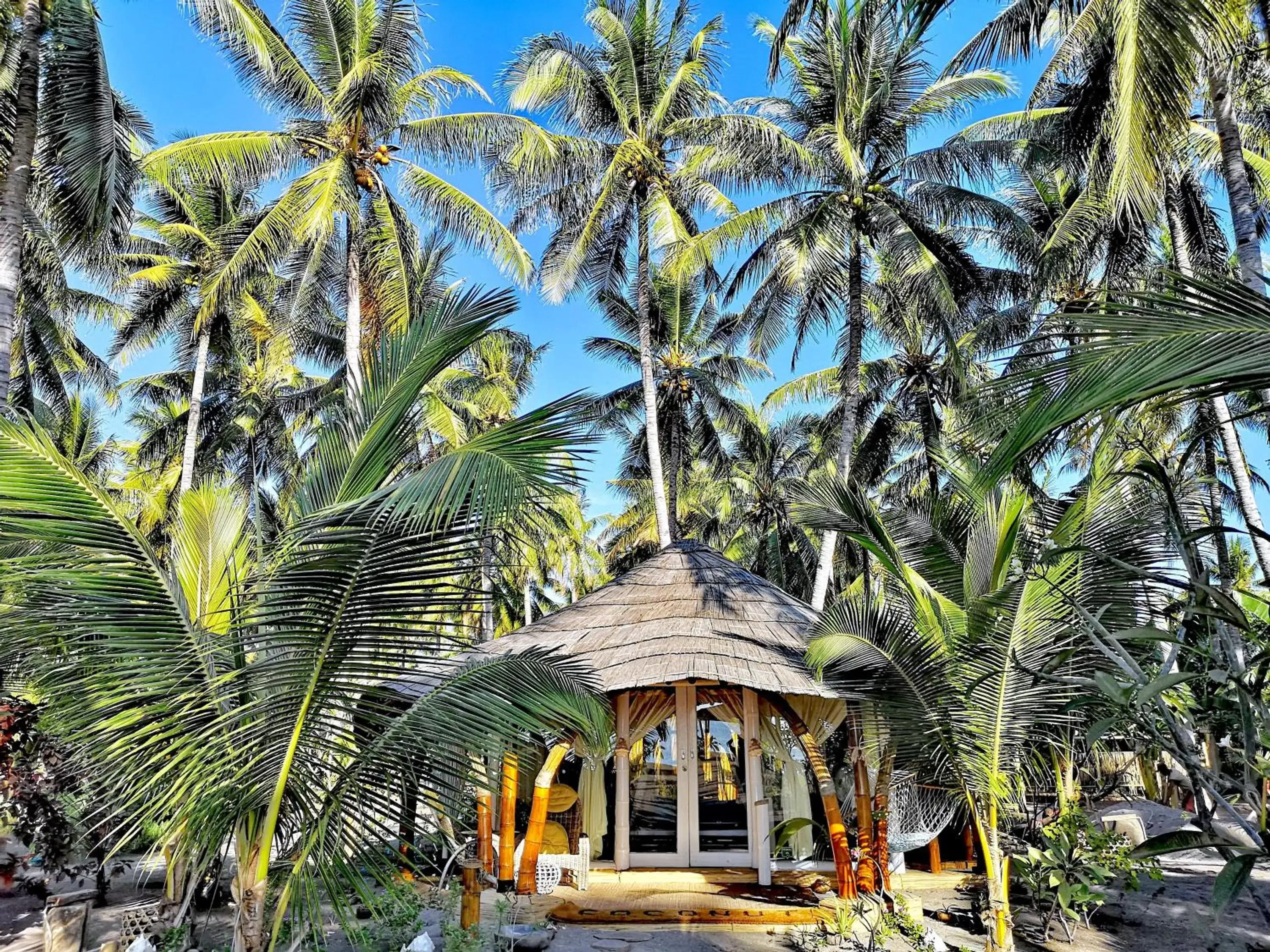 Oceanfront Bungalow in Coconut Garden Beach Resort