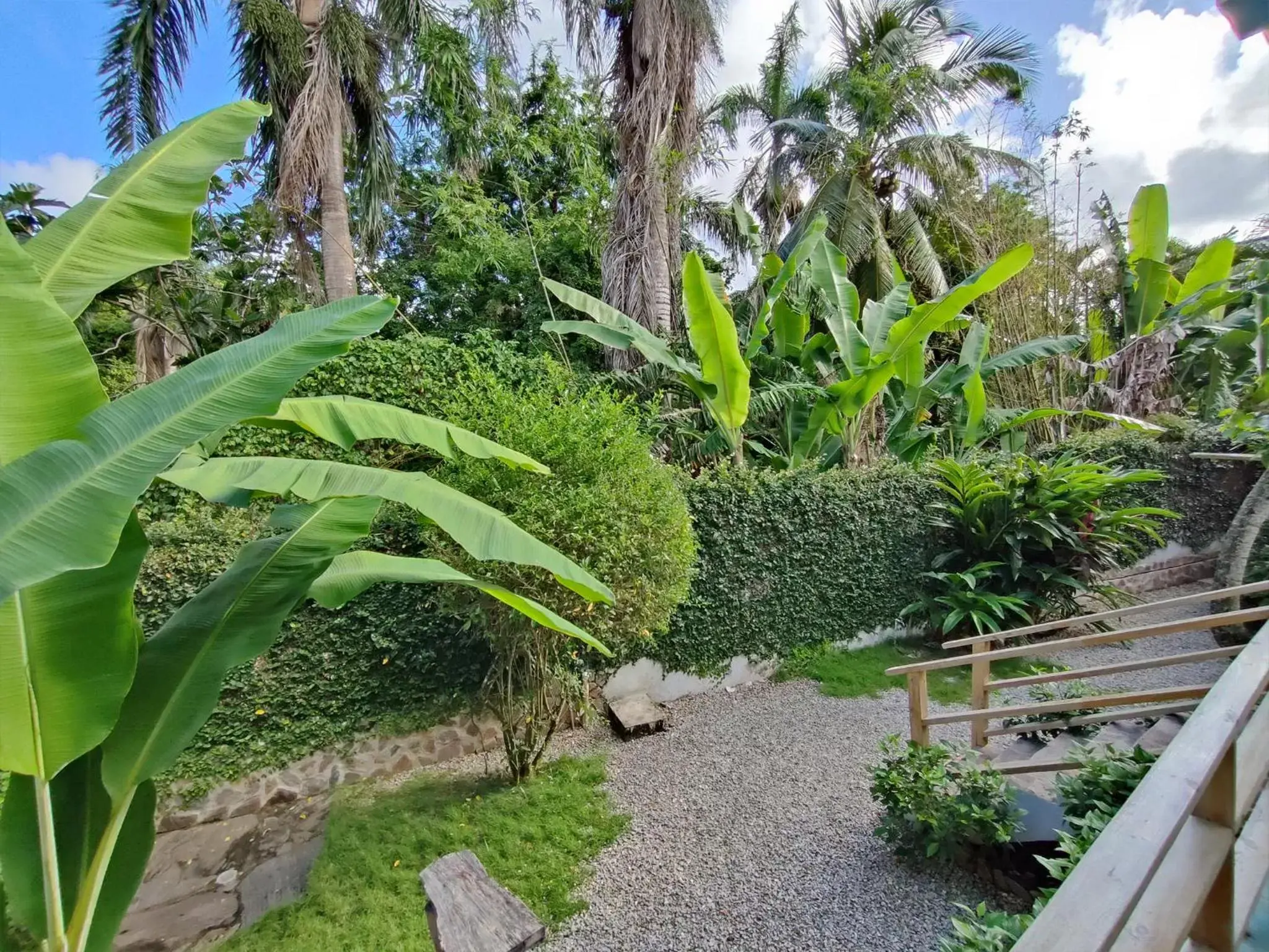 Garden view in House Jardin Del Caribe