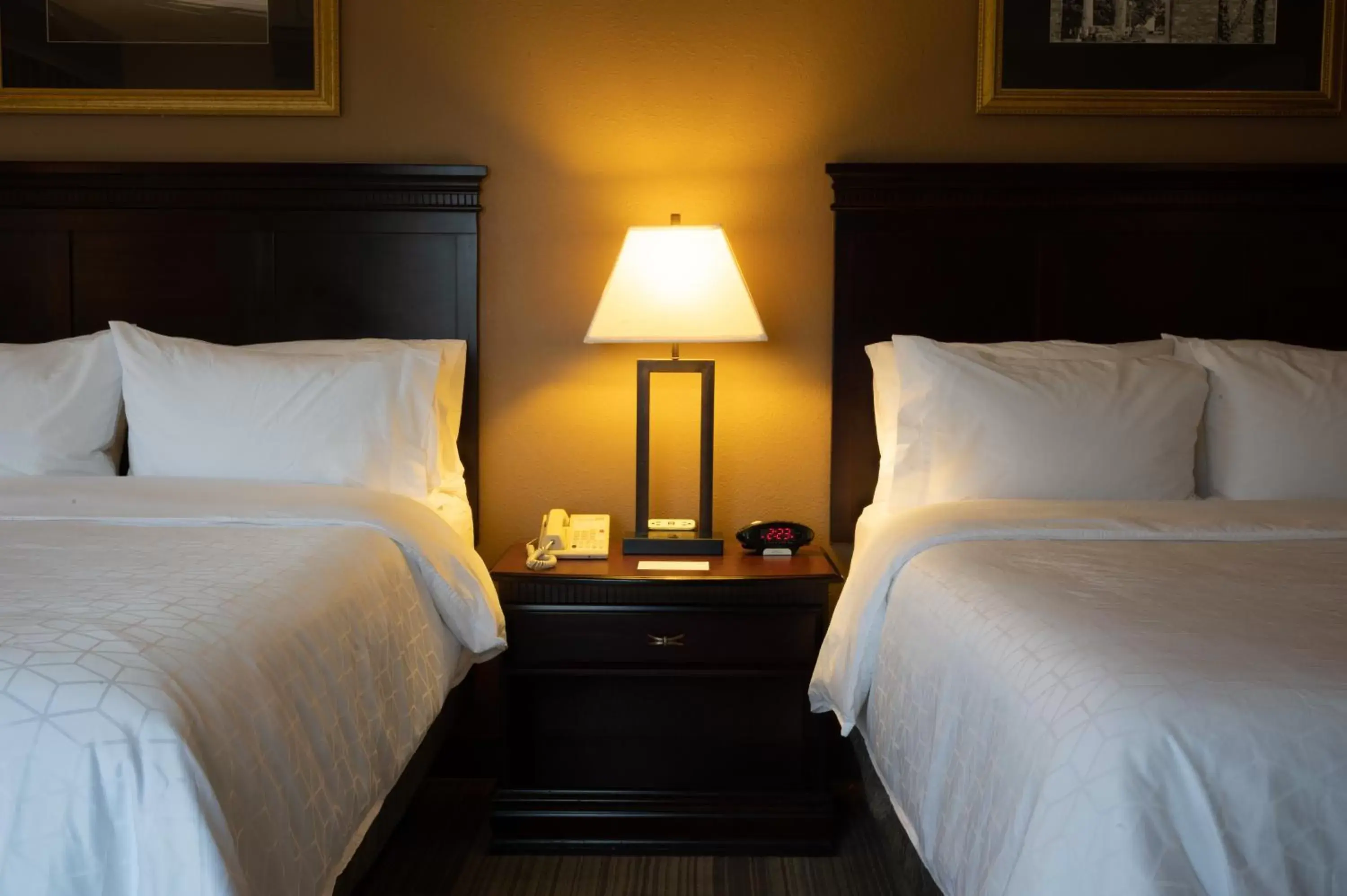 Bed in Holiday Inn Express & Suites - Tuscaloosa-University, an IHG Hotel