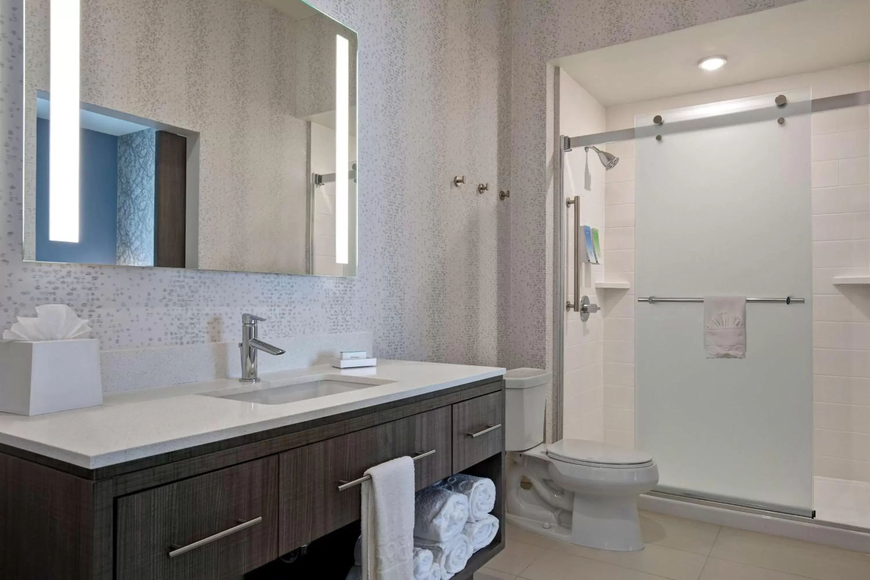 Bathroom in Home2 Suites By Hilton Lewisville Dallas