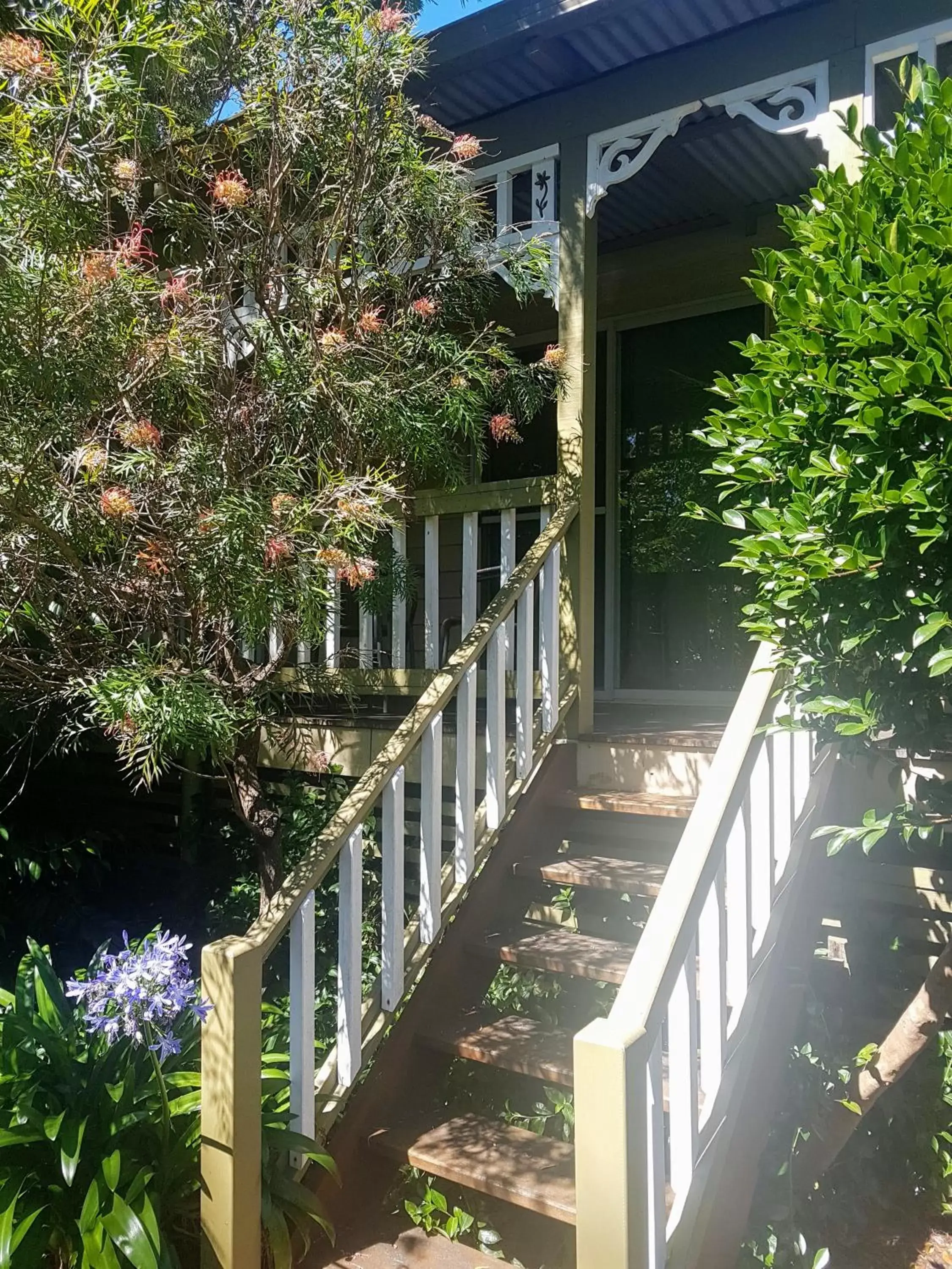 Balcony/Terrace in Adamsons Riverside Accommodation