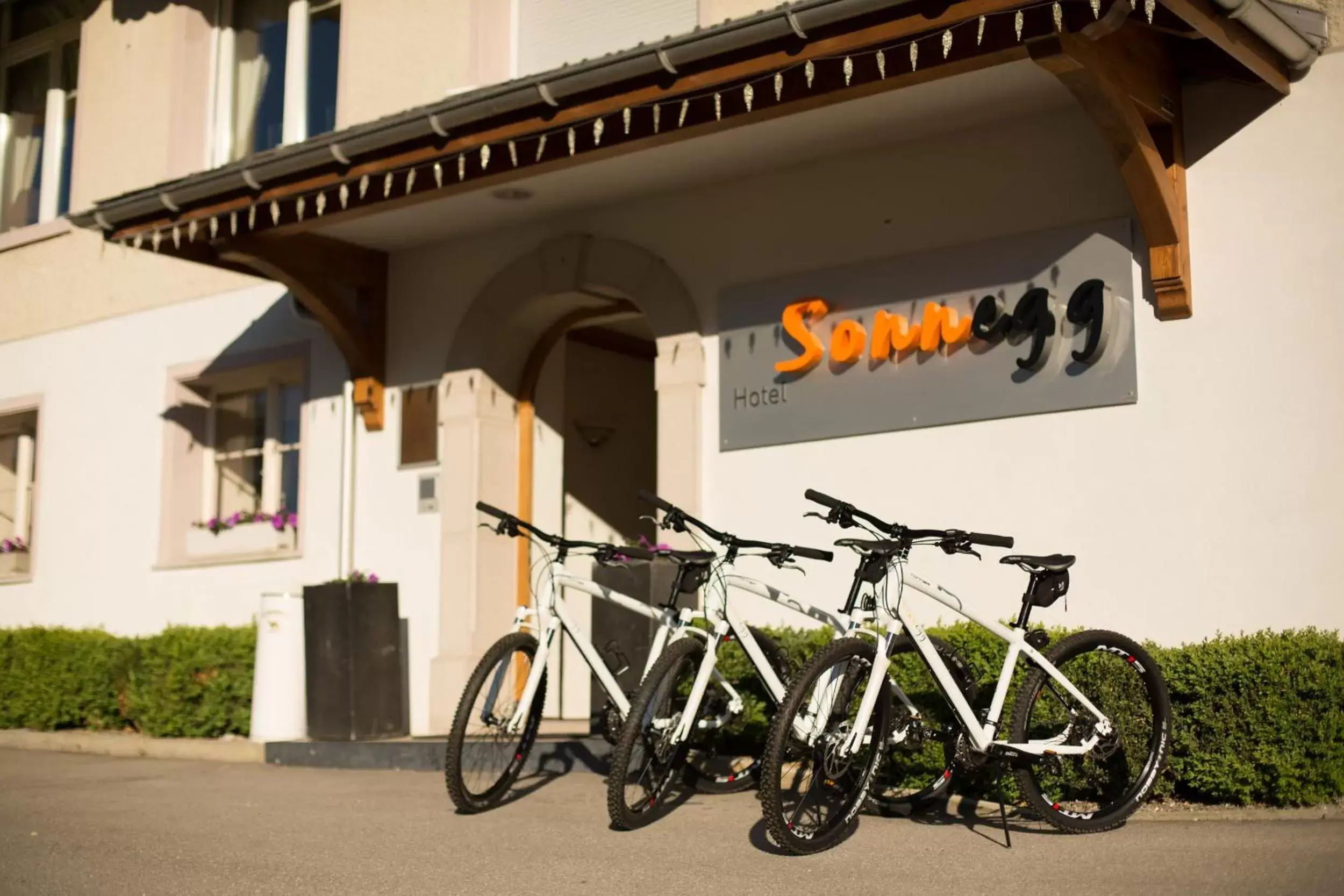 Cycling in Sonnegg Hotel