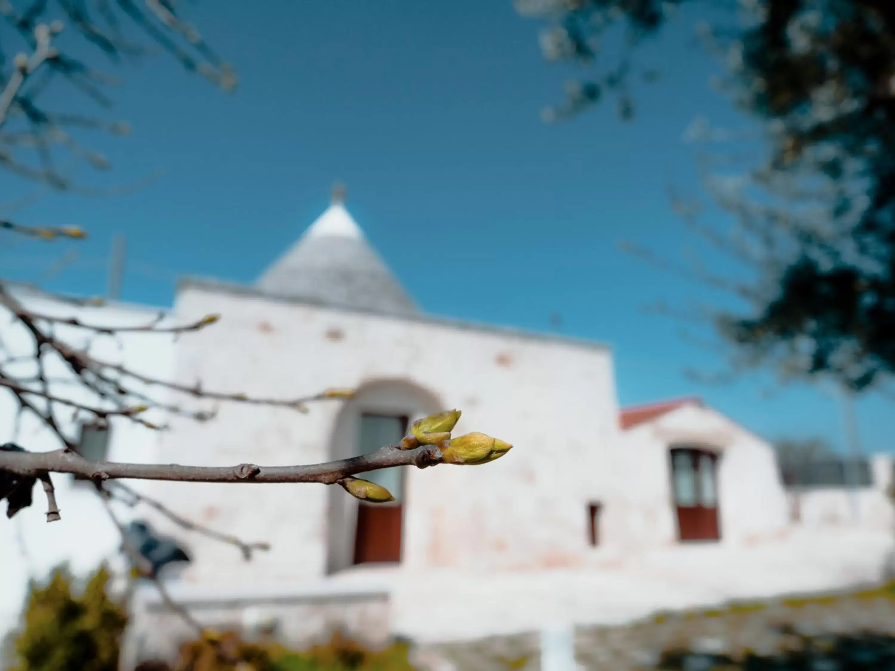 Property building, Winter in Rifugio di Puglia - Trulli & Dimore