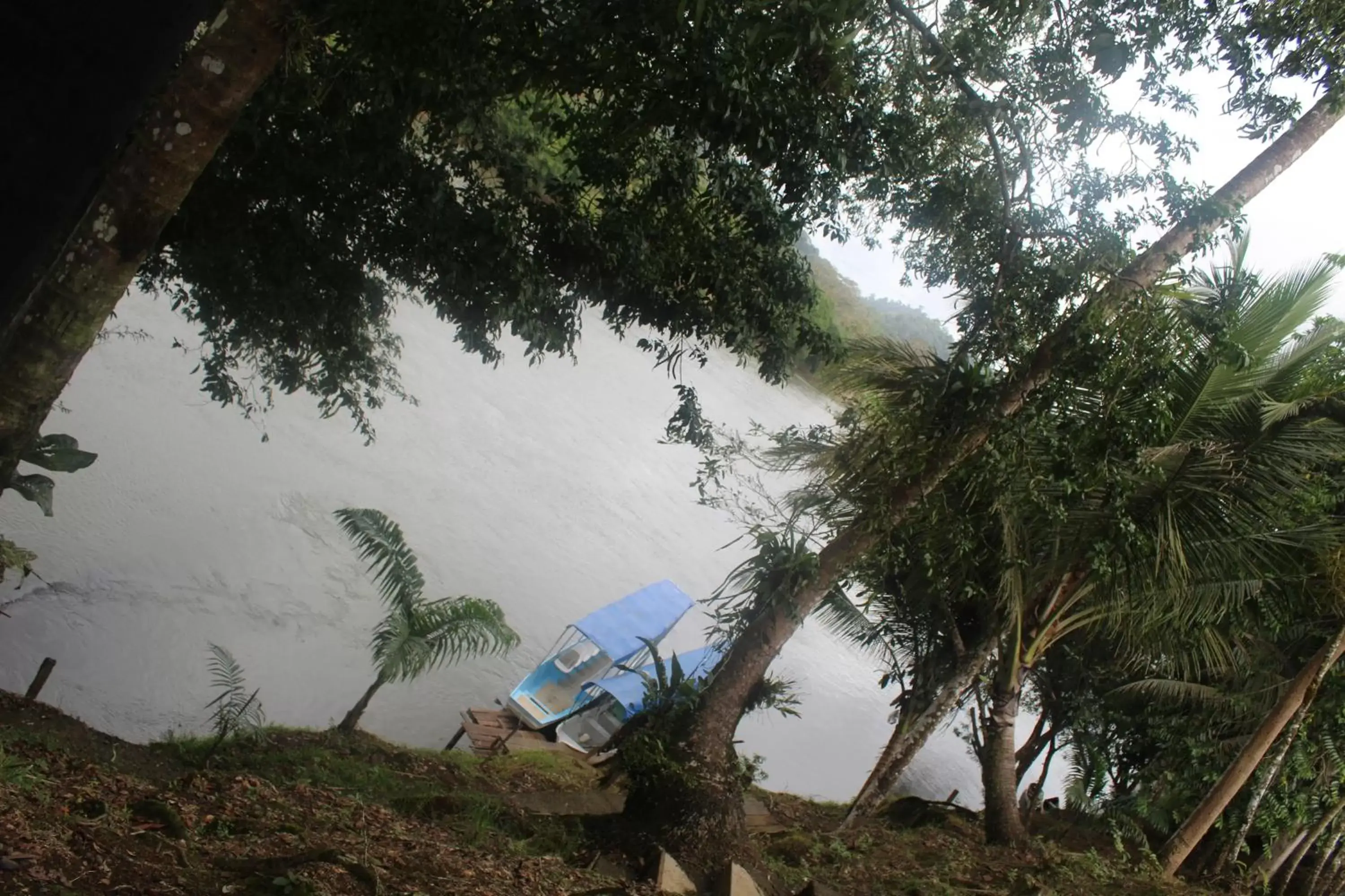 Property building in Iguanitas Lodge